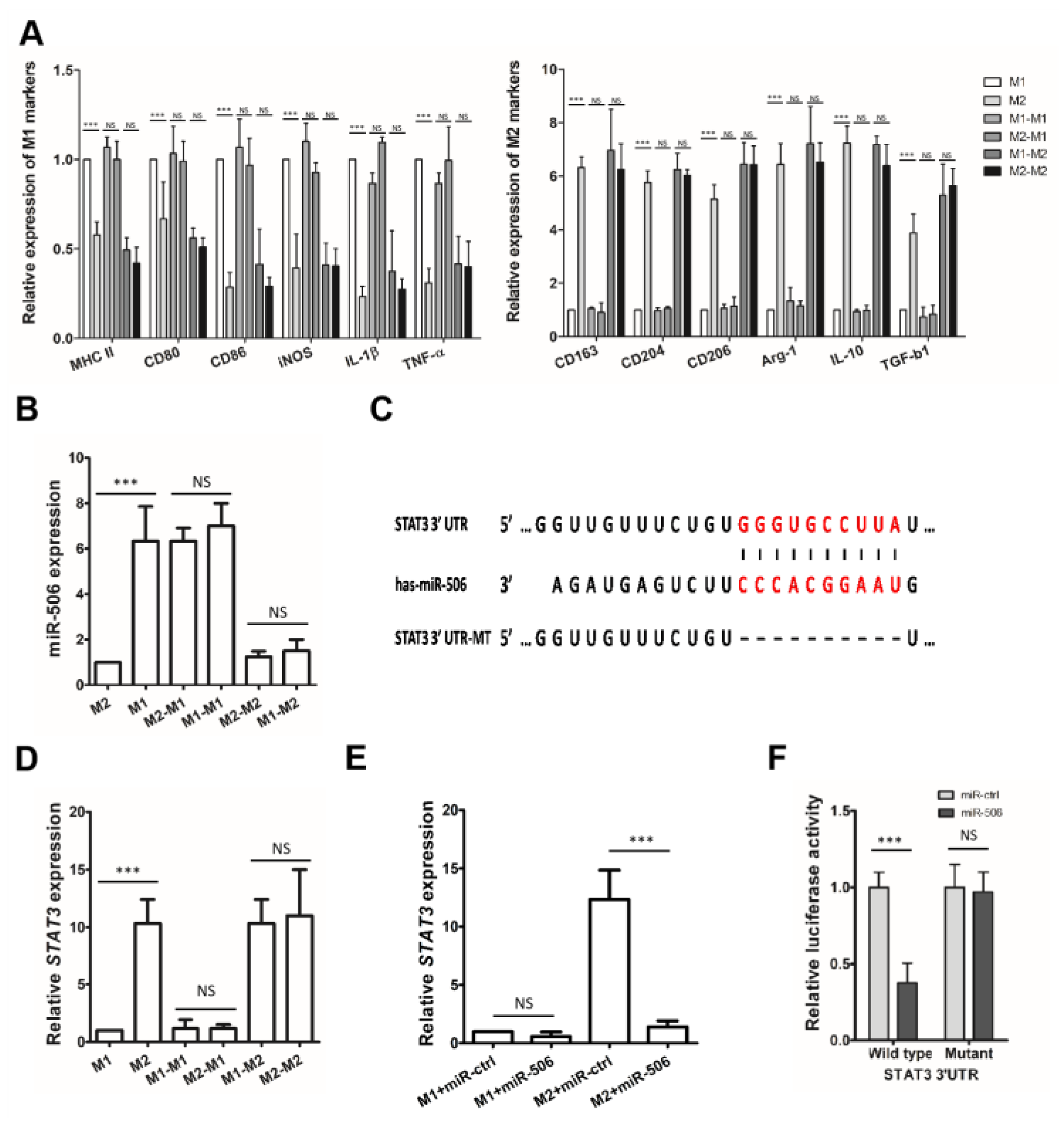 Biomedicines 11 02874 g005