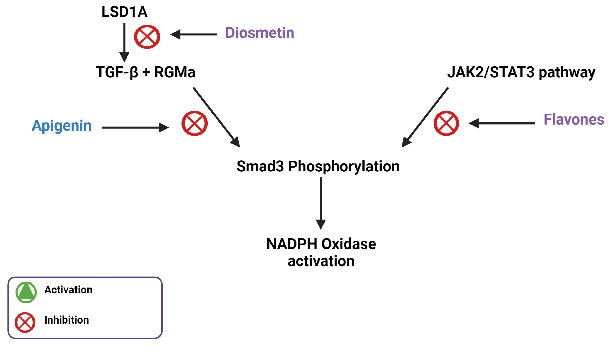 Biomedicines 11 02877 g005 Biomedicines 11 02877 g005