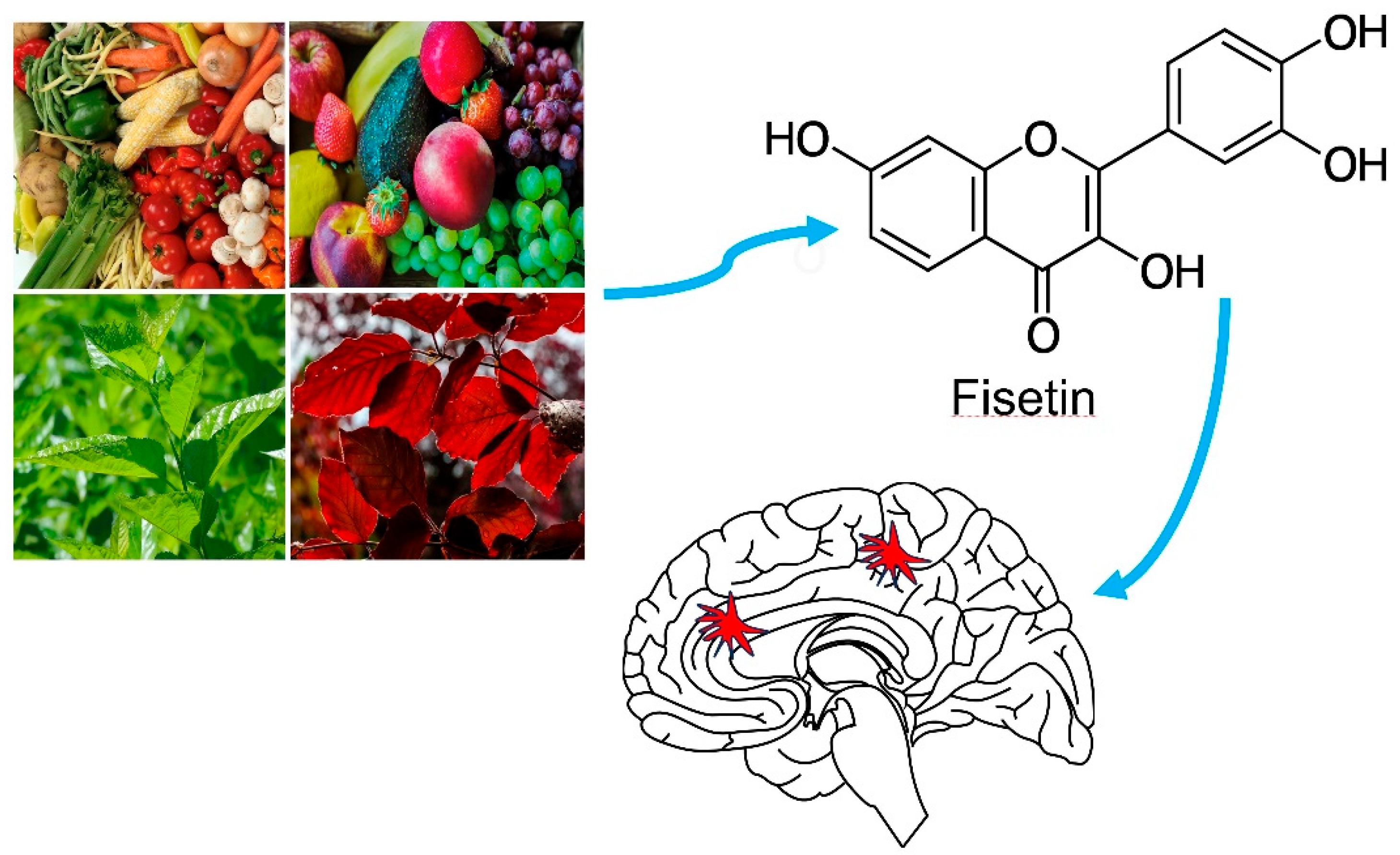 Biomedicines 11 02878 g001
