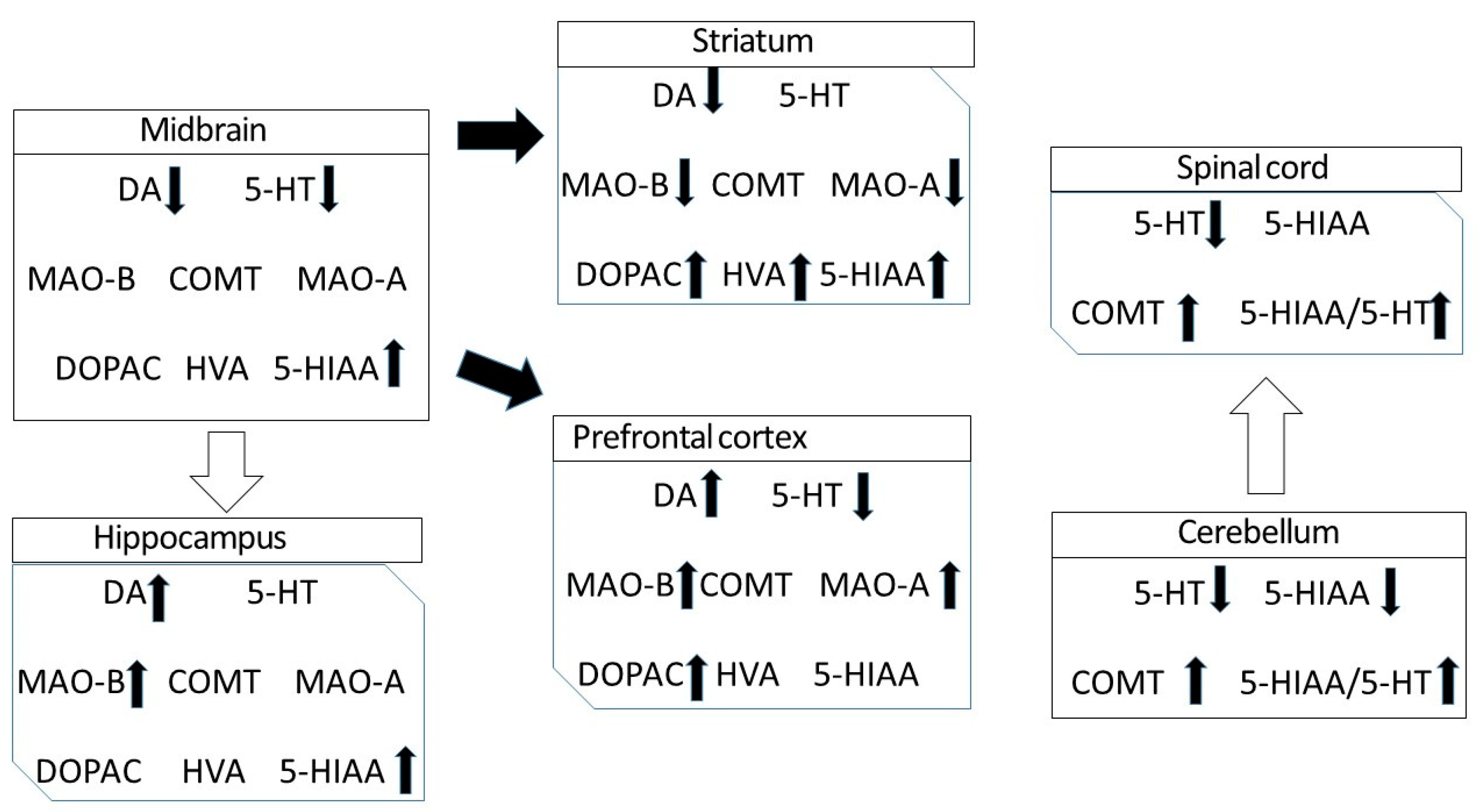 Biomedicines 11 02881 g001