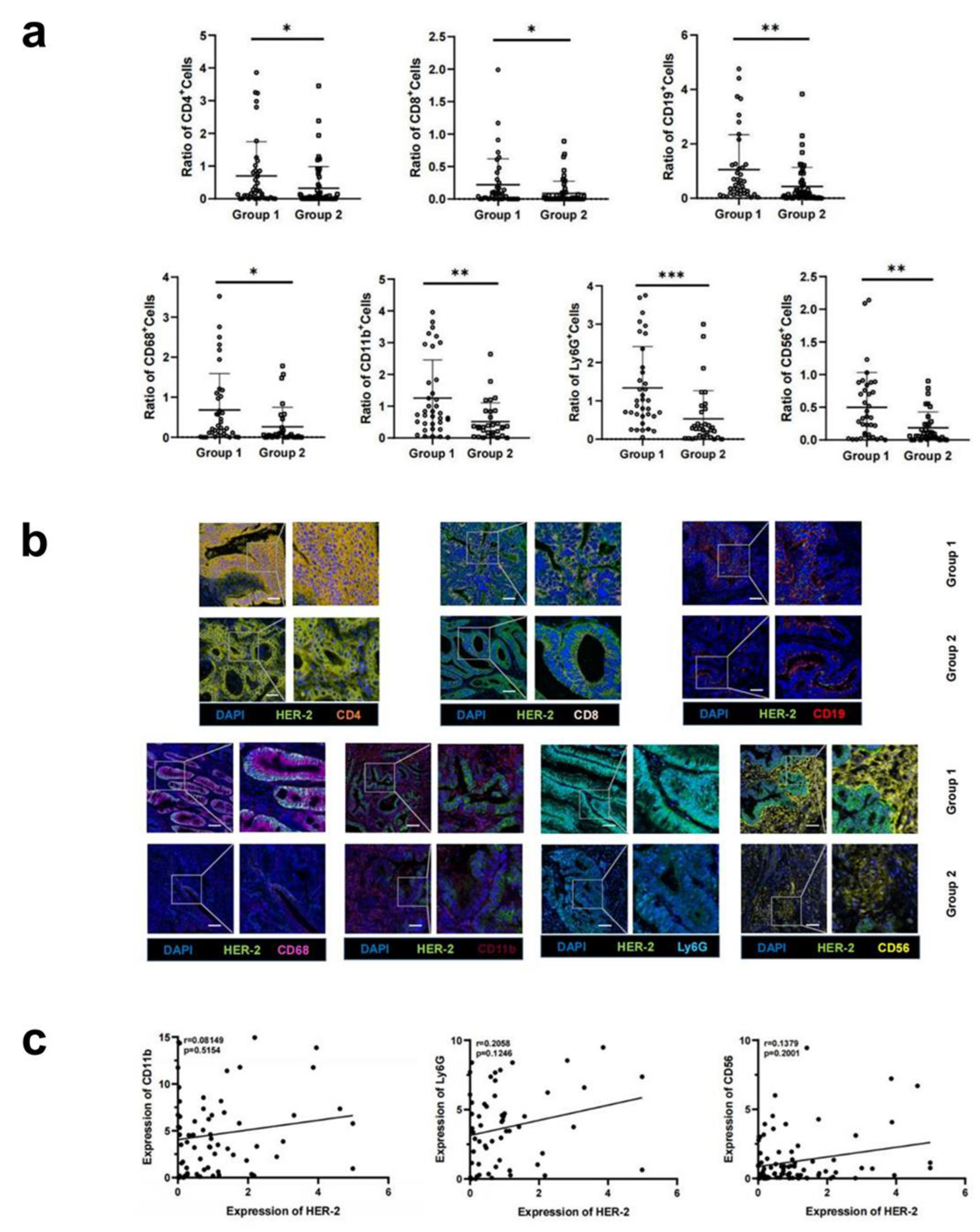 Biomedicines 11 02889 g002