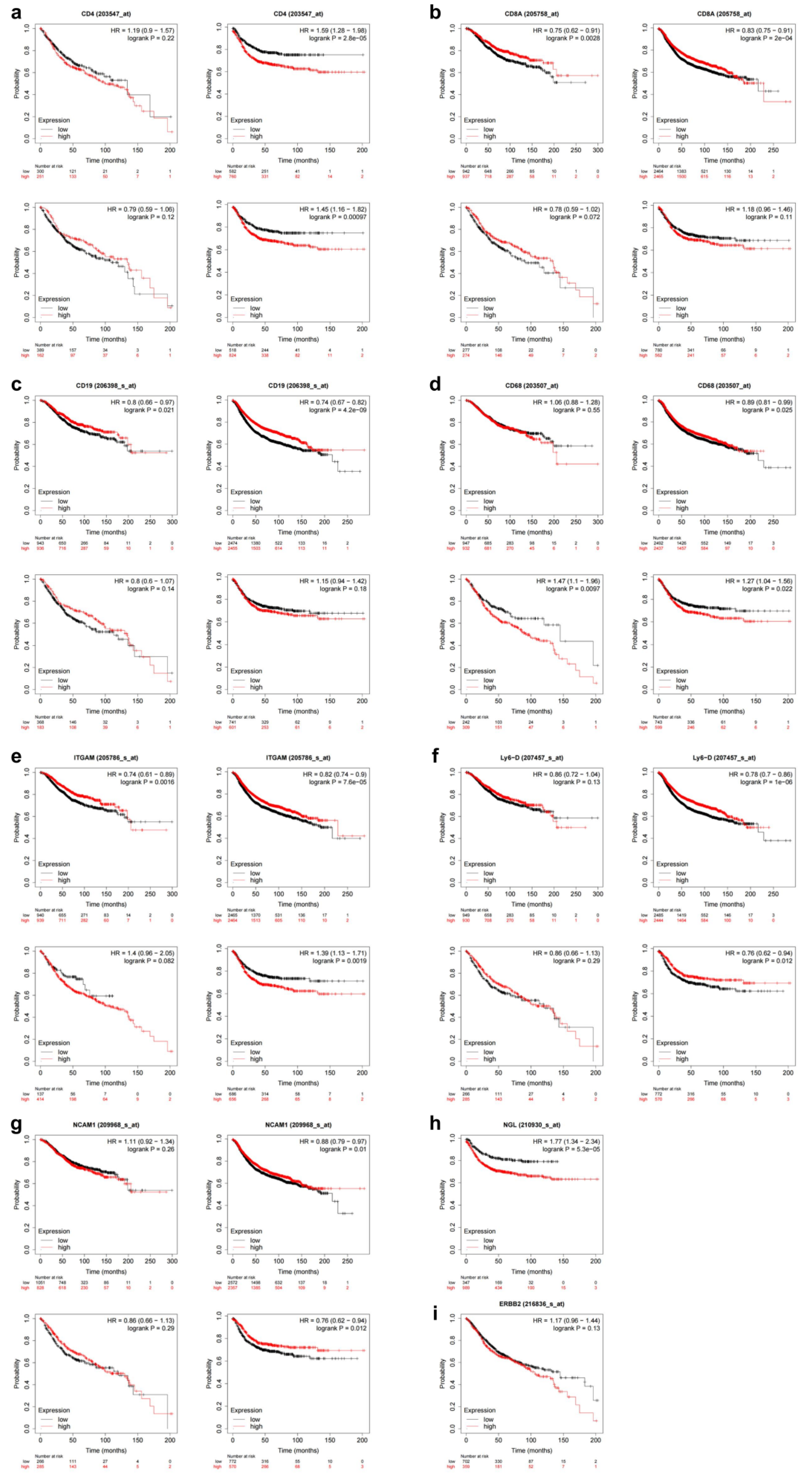 Biomedicines 11 02889 g003