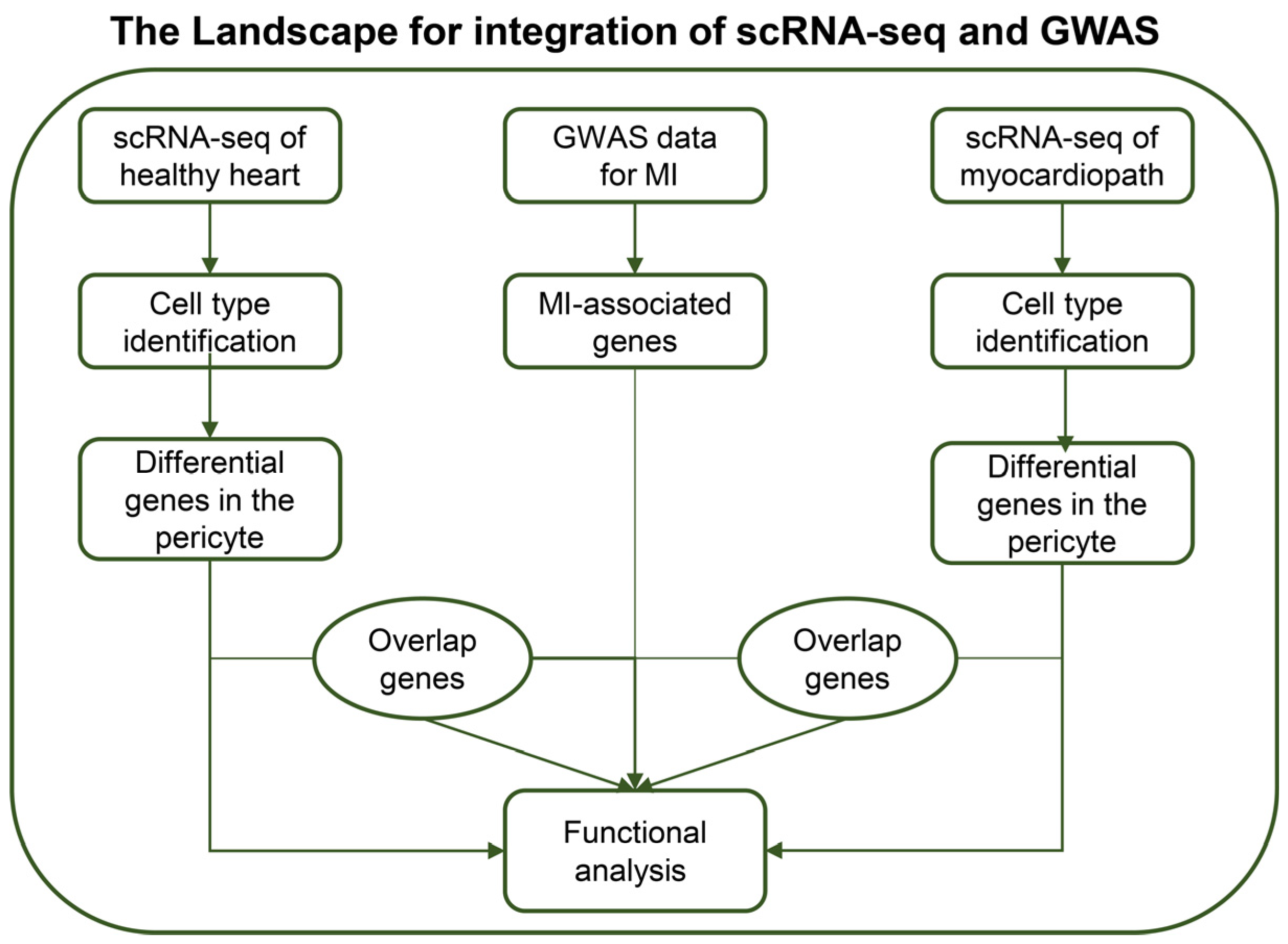 Biomedicines 11 02896 g001