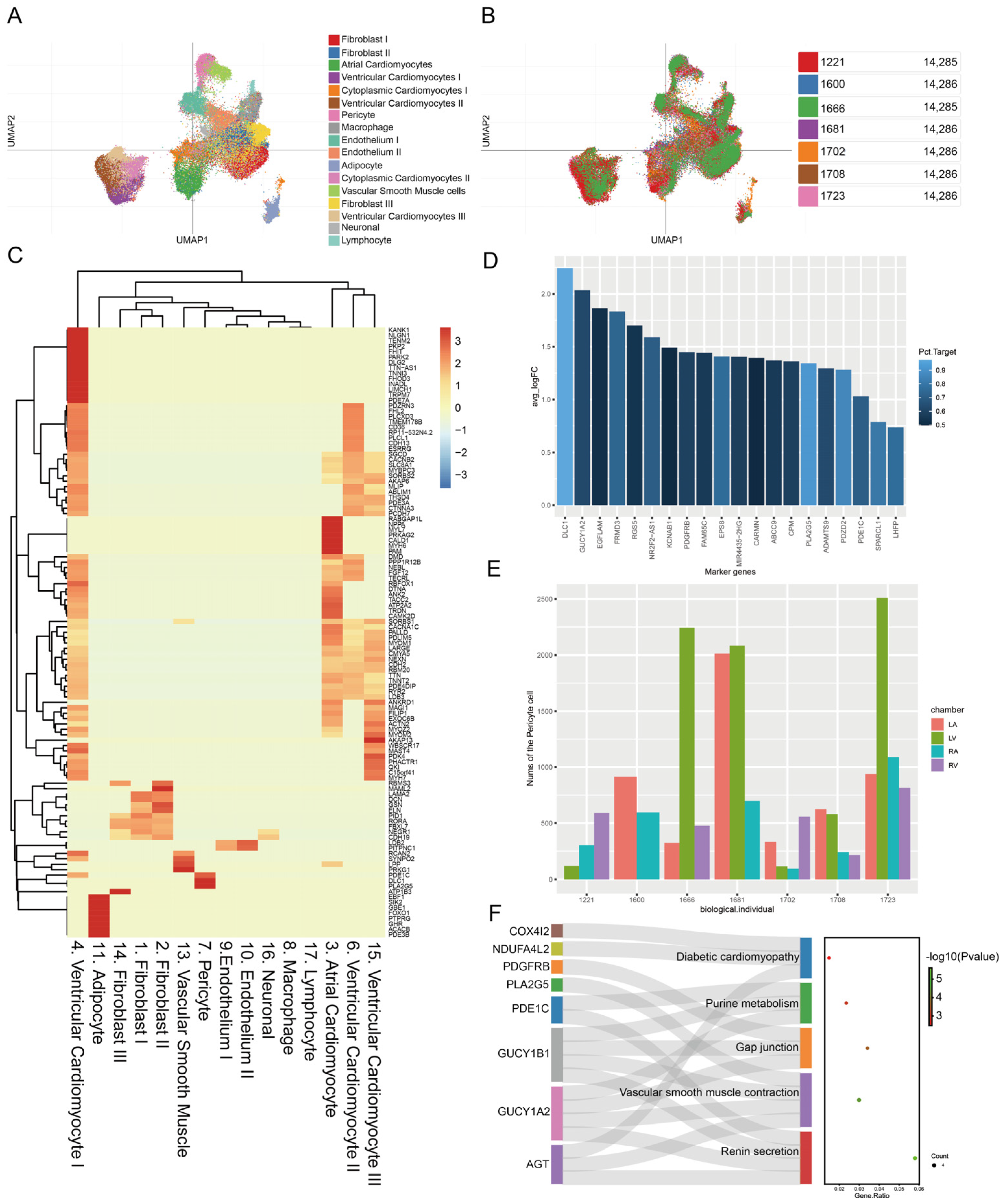 Biomedicines 11 02896 g002