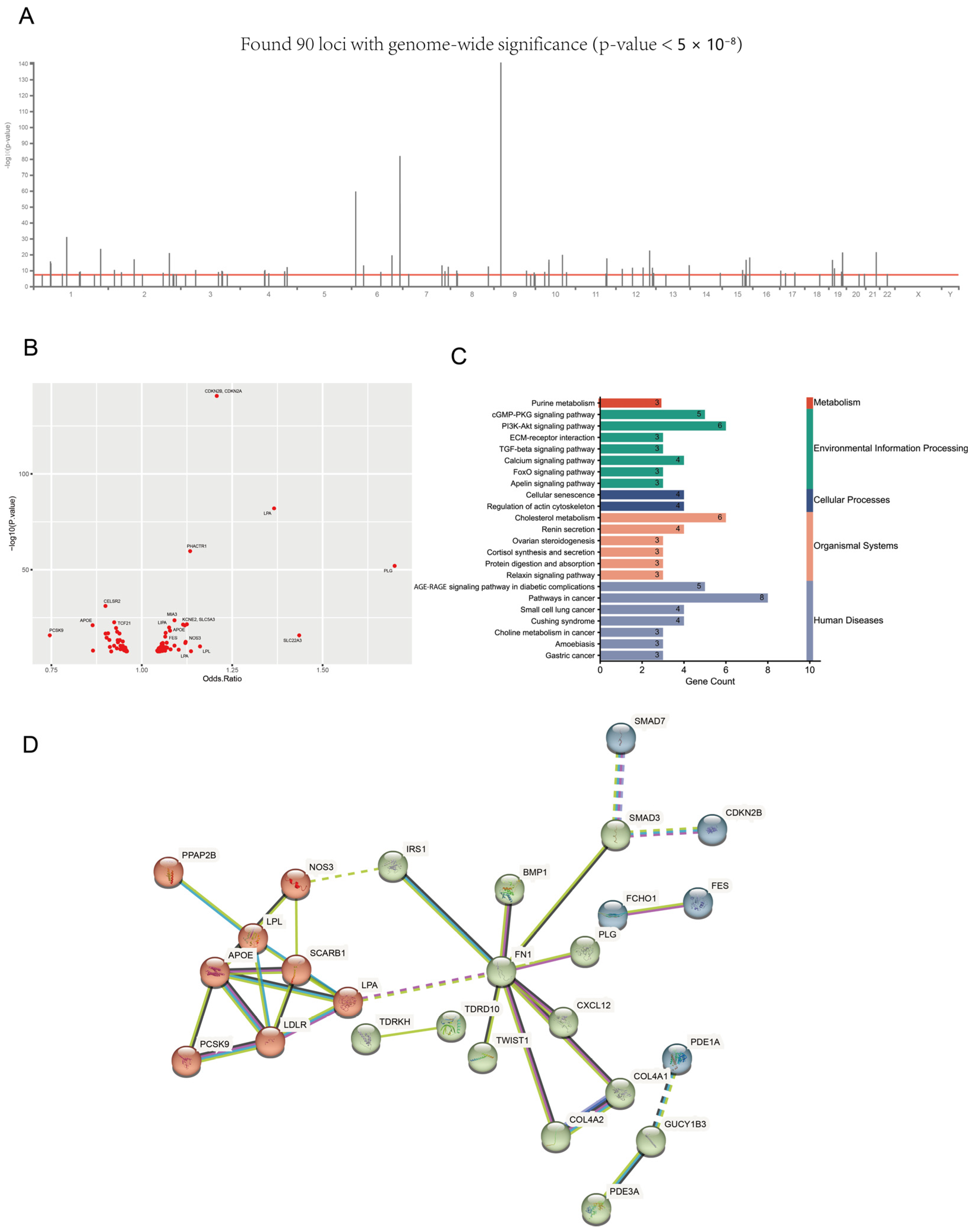 Biomedicines 11 02896 g003