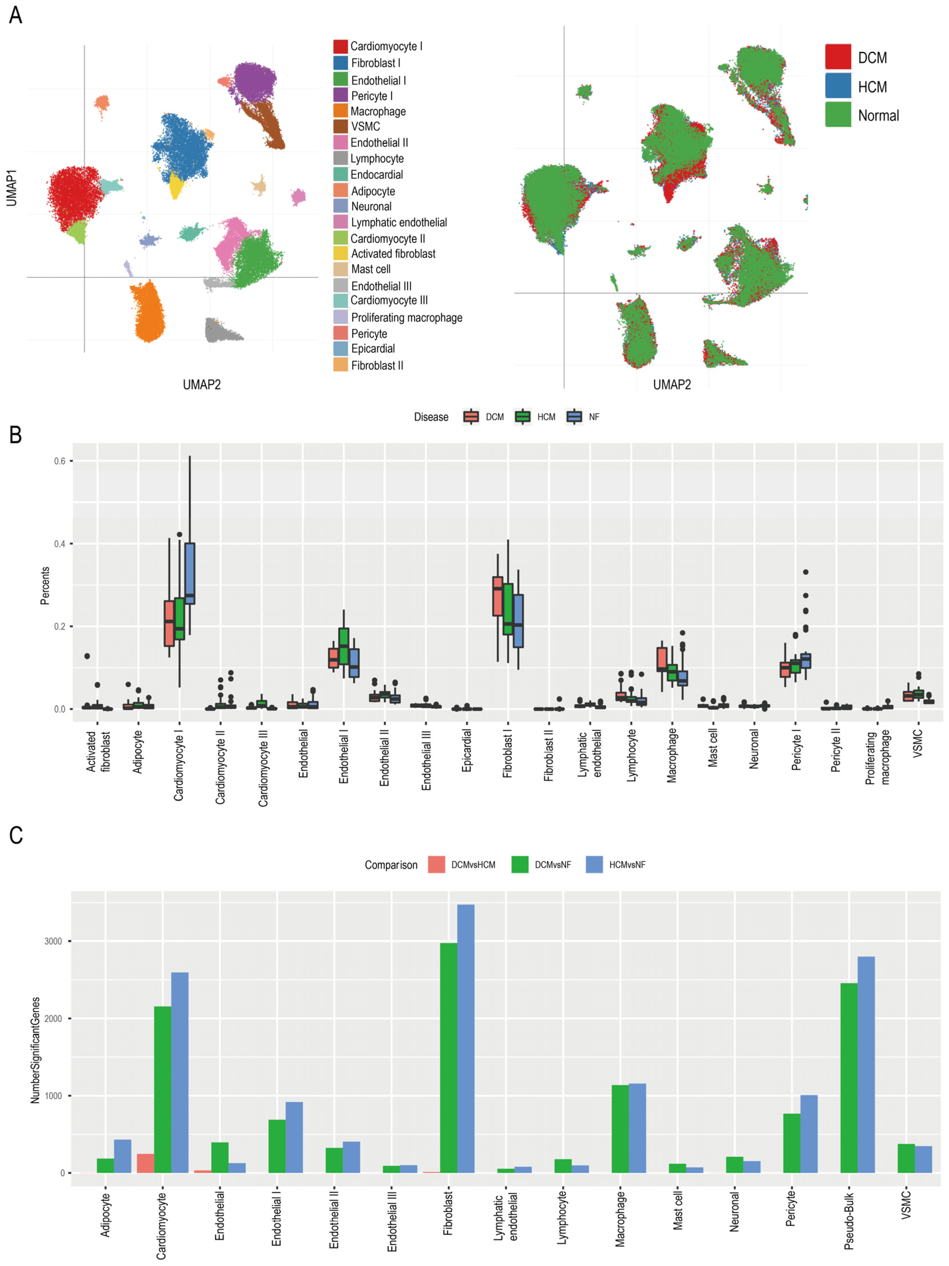 Biomedicines 11 02896 g004