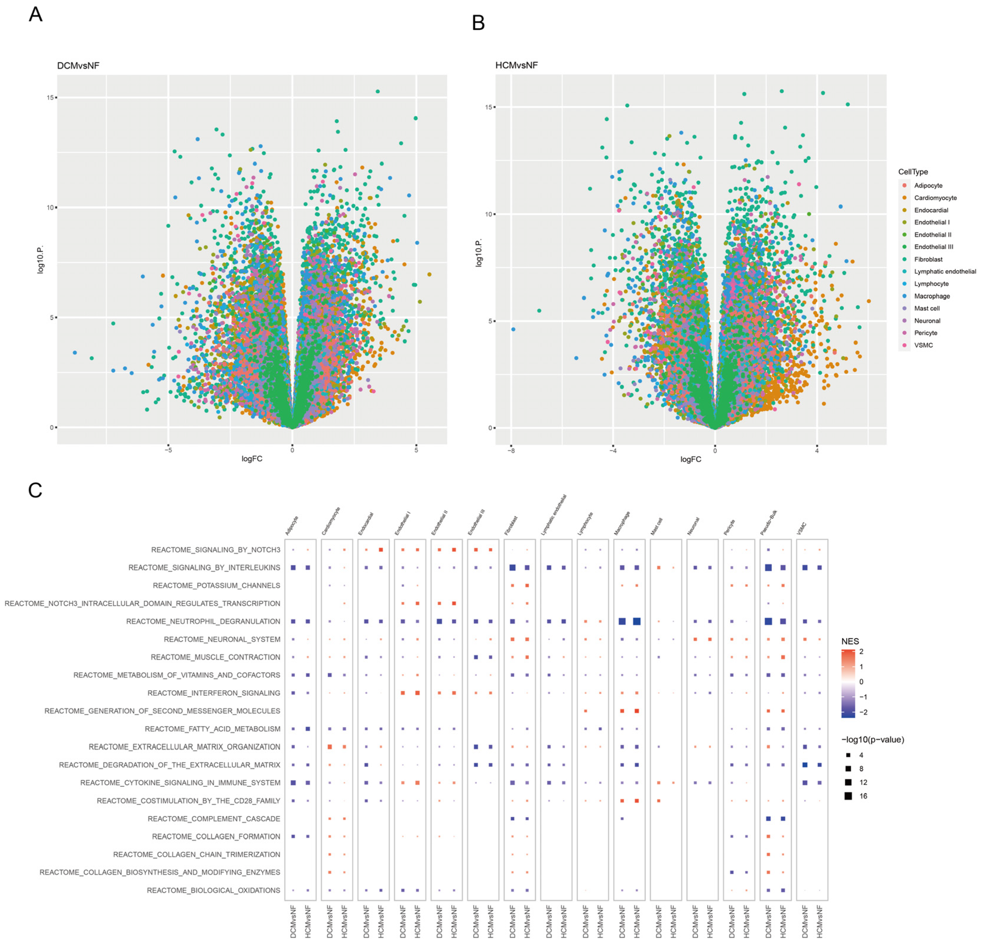 Biomedicines 11 02896 g005
