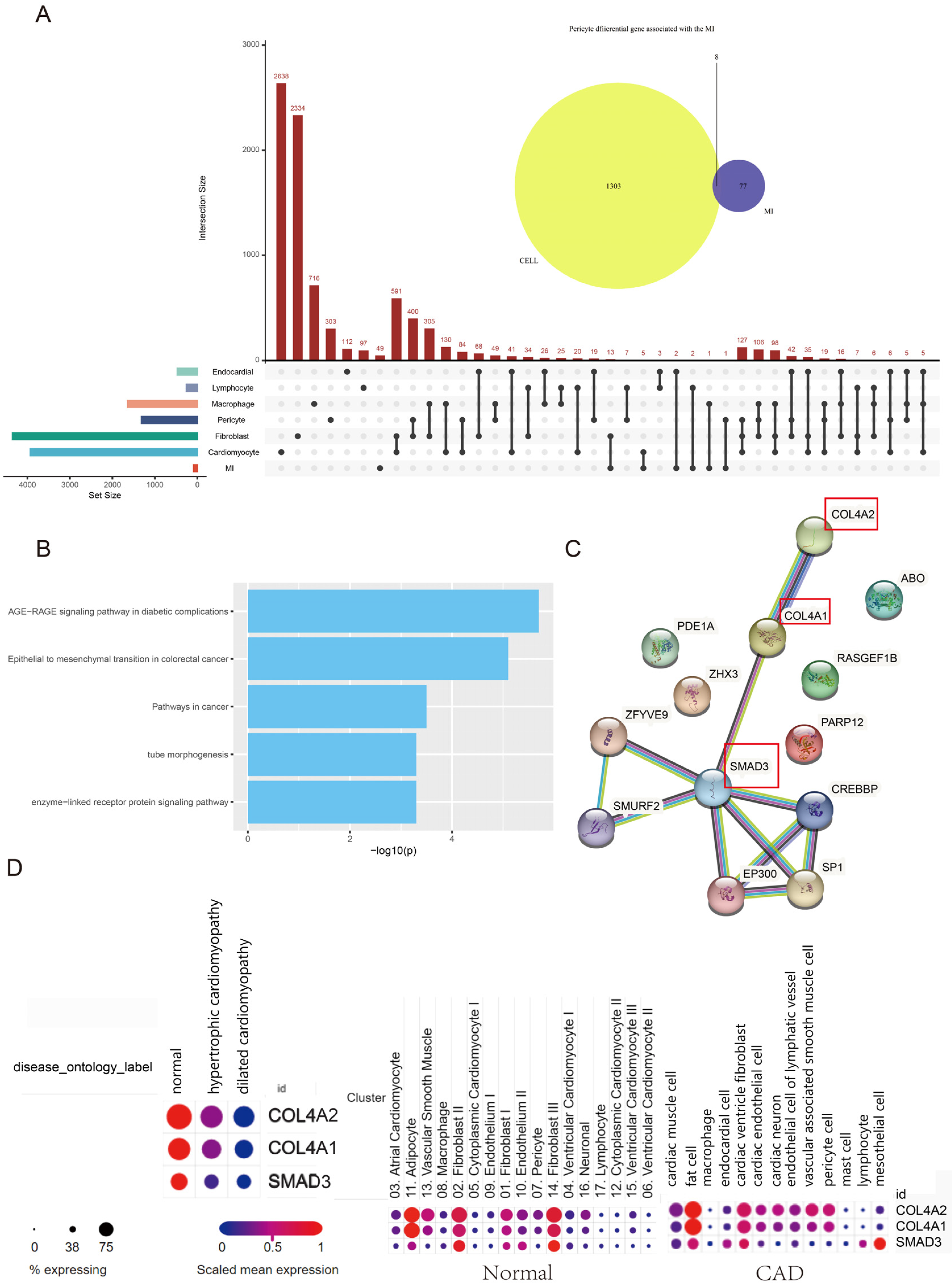 Biomedicines 11 02896 g006