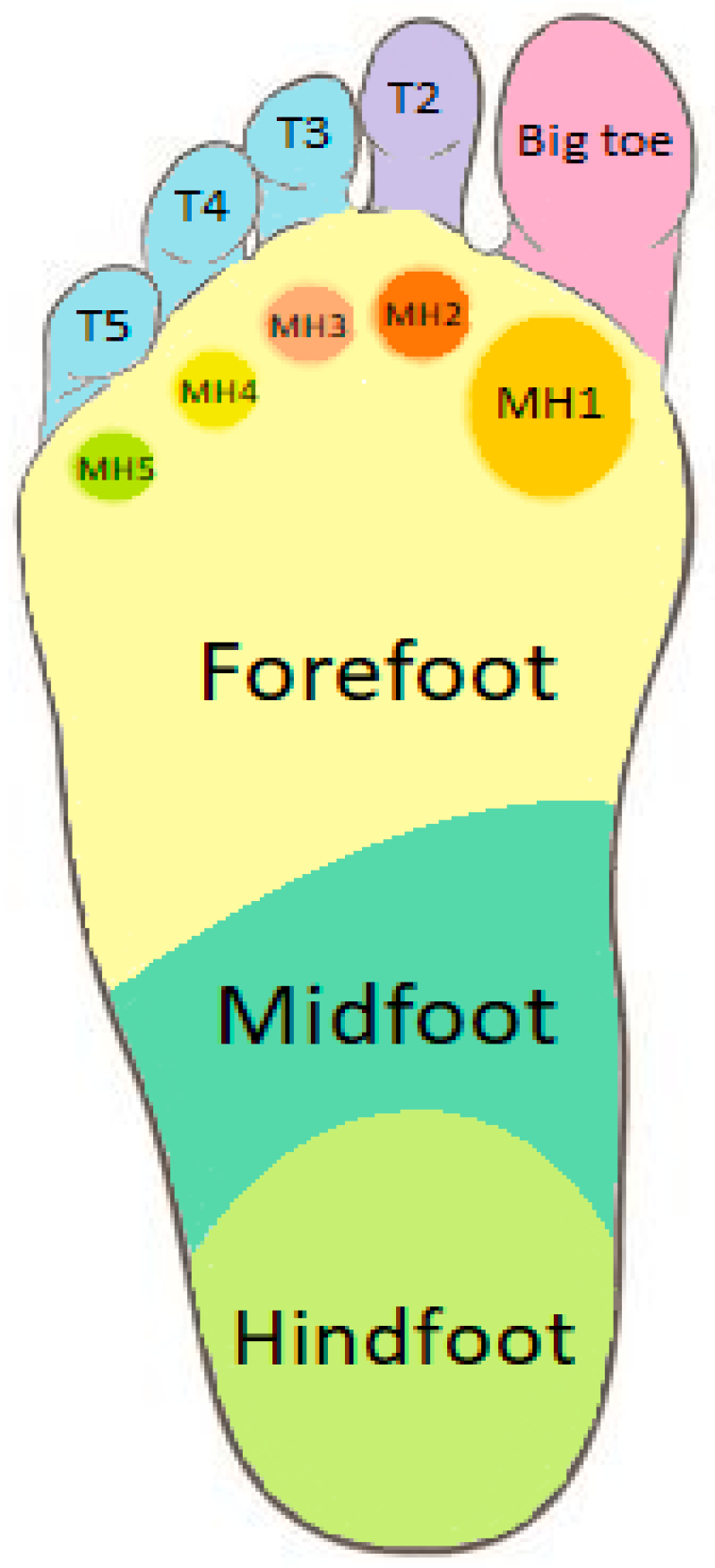 Biomedicines Free FullText Foot Plantar Pressure Abnormalities in