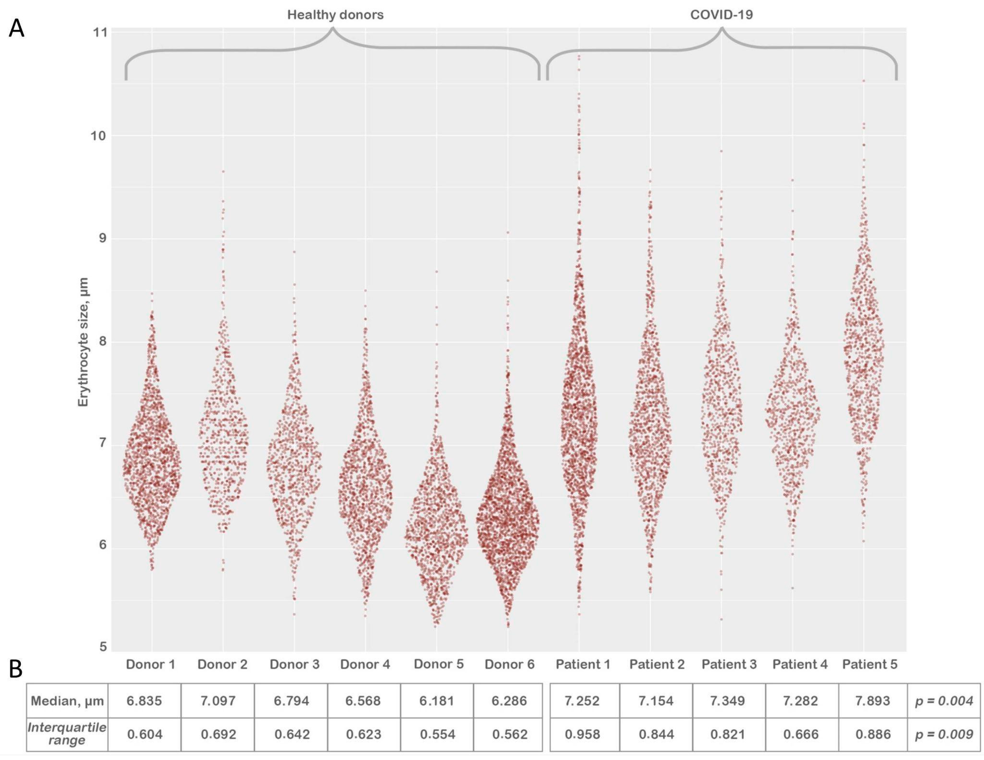 Biomedicines 11 02902 g004