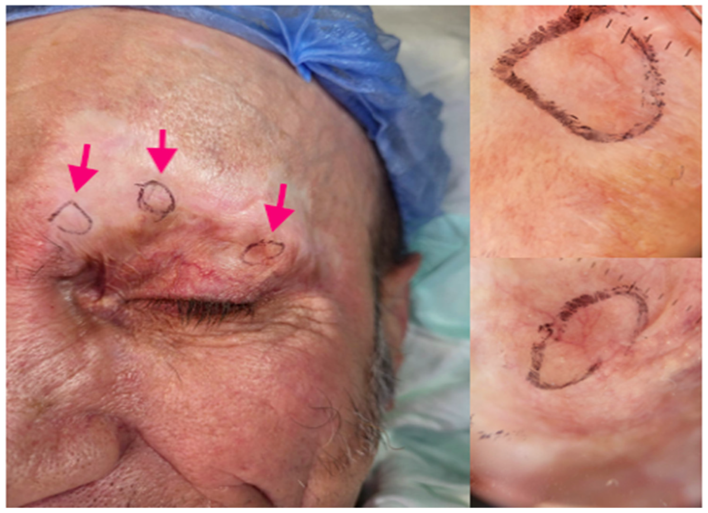 Biomedicines 11 02903 g002