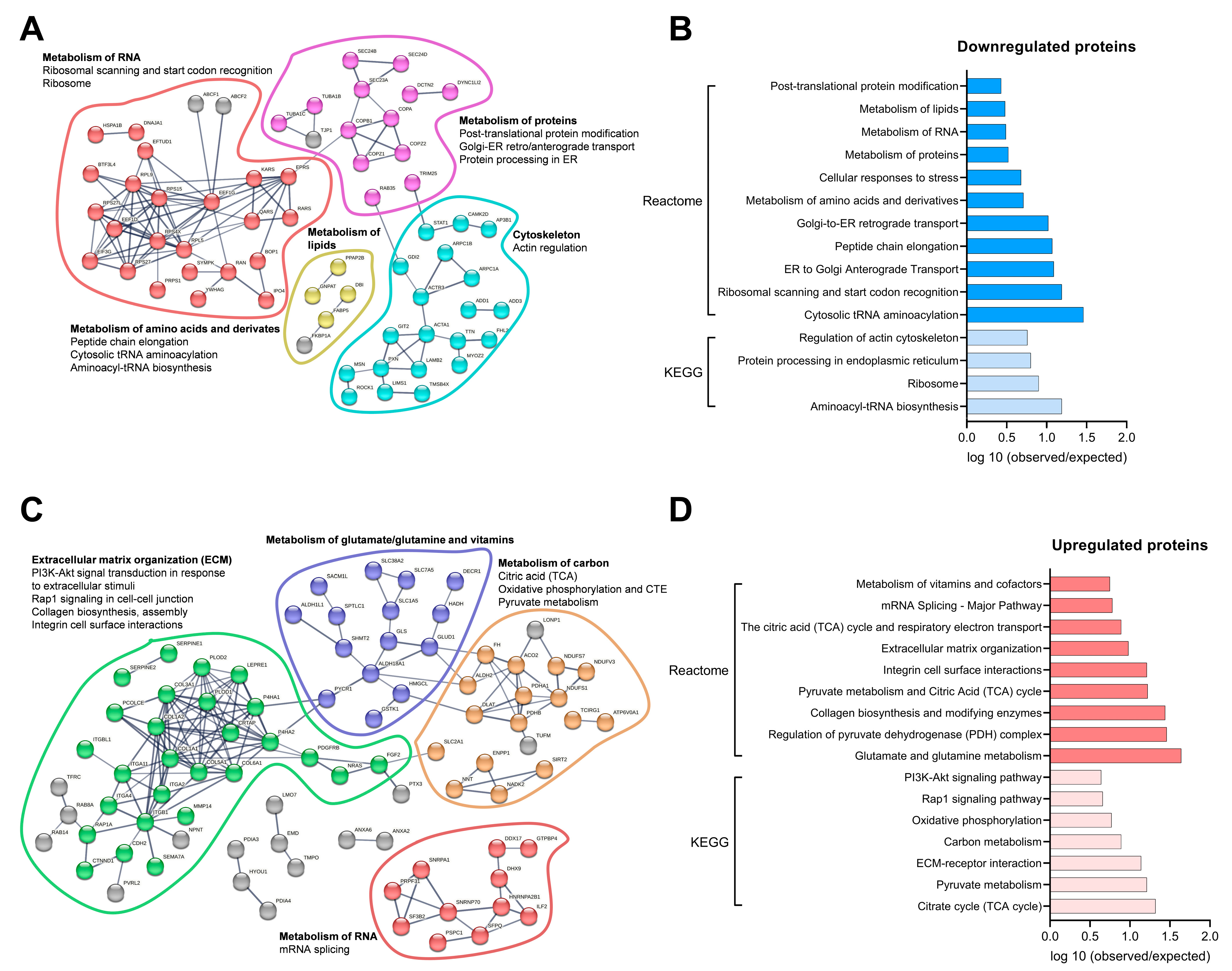 Biomedicines 11 02908 g007