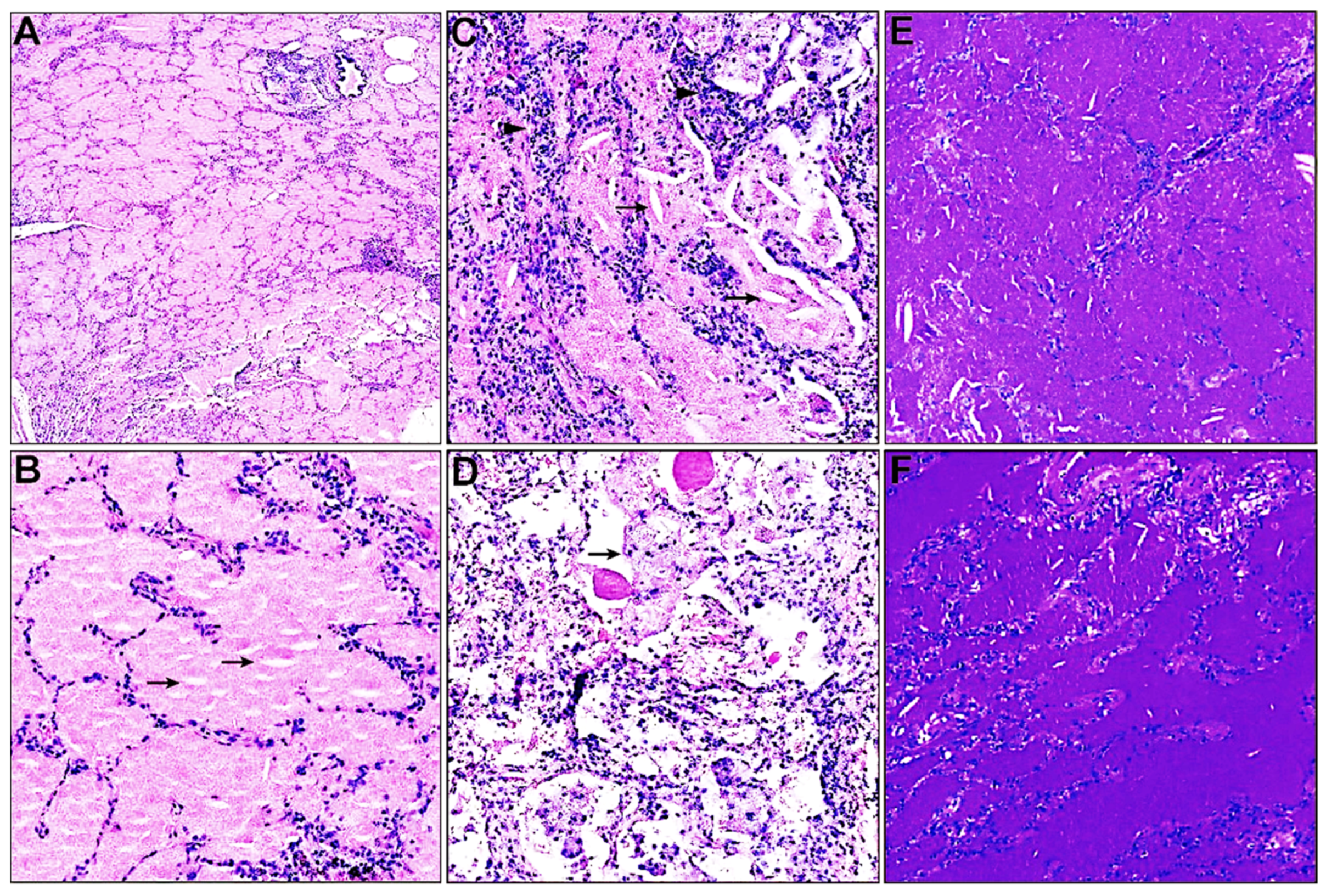 Biomedicines 11 02909 g001