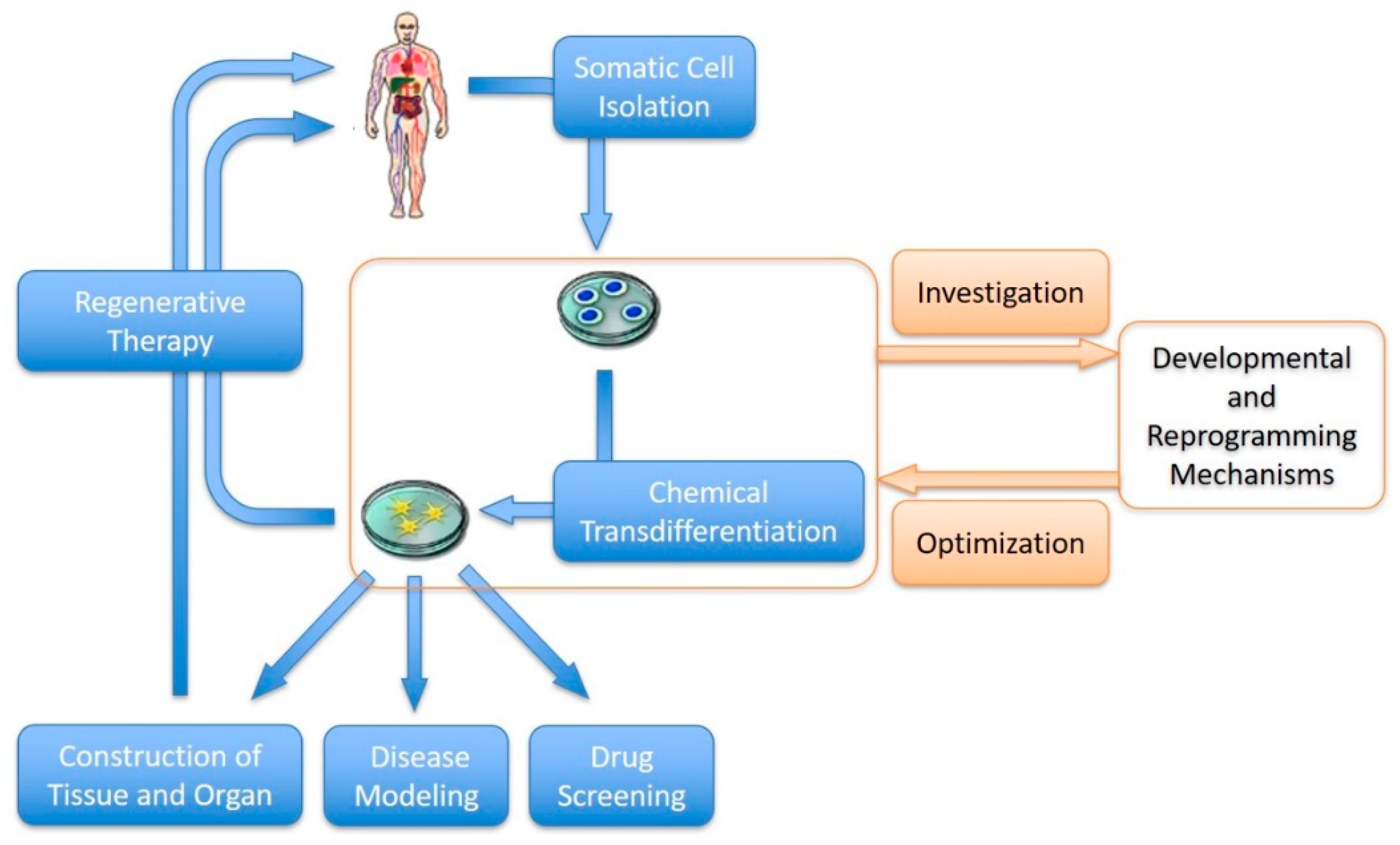Biomedicines 11 02913 g002 Biomedicines 11 02913 g002