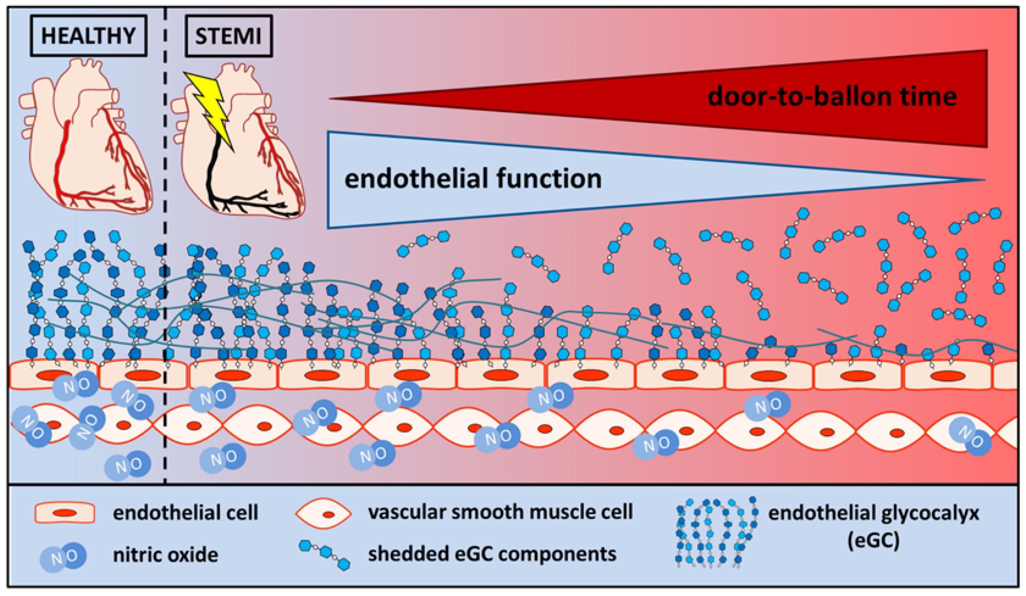 Biomedicines Free FullText Prolonged DoortoBalloon Time Leads to