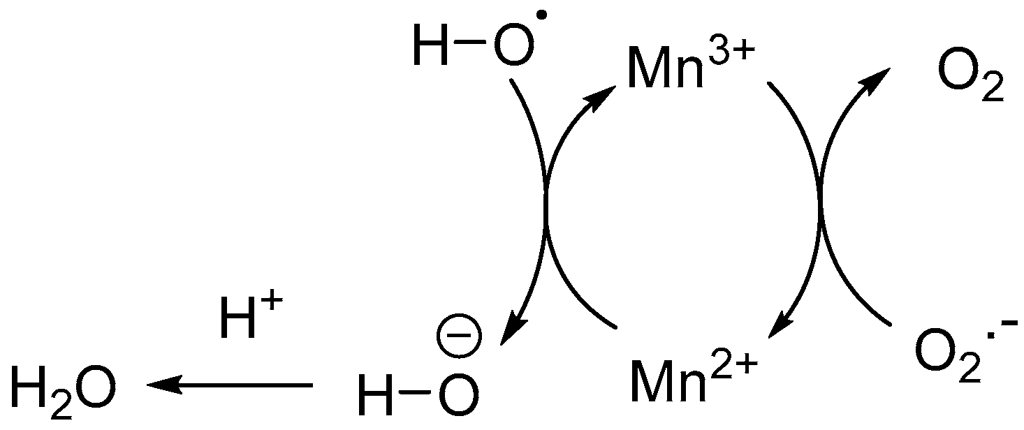 Biomedicines 11 02925 g001
