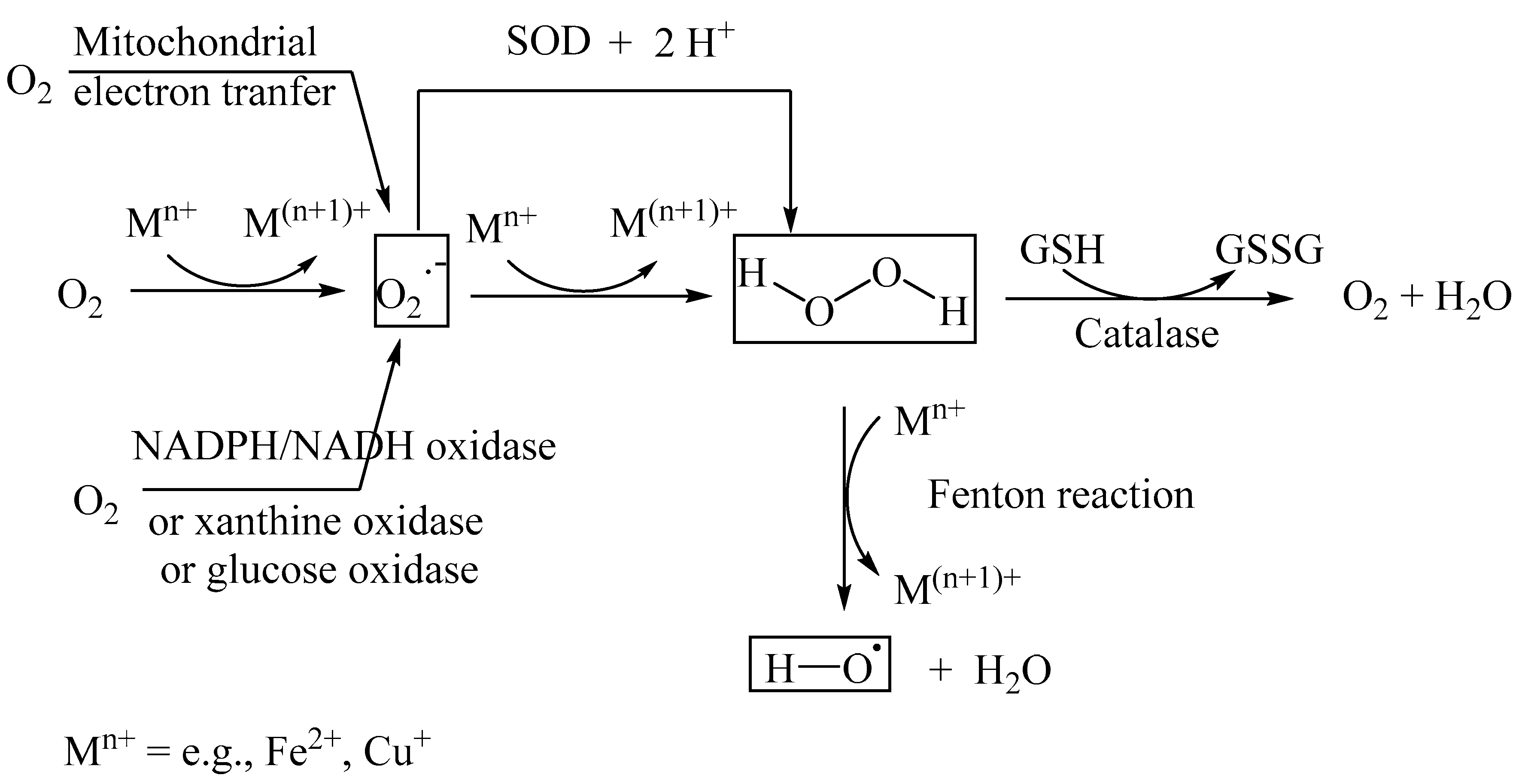 Biomedicines 11 02925 g003