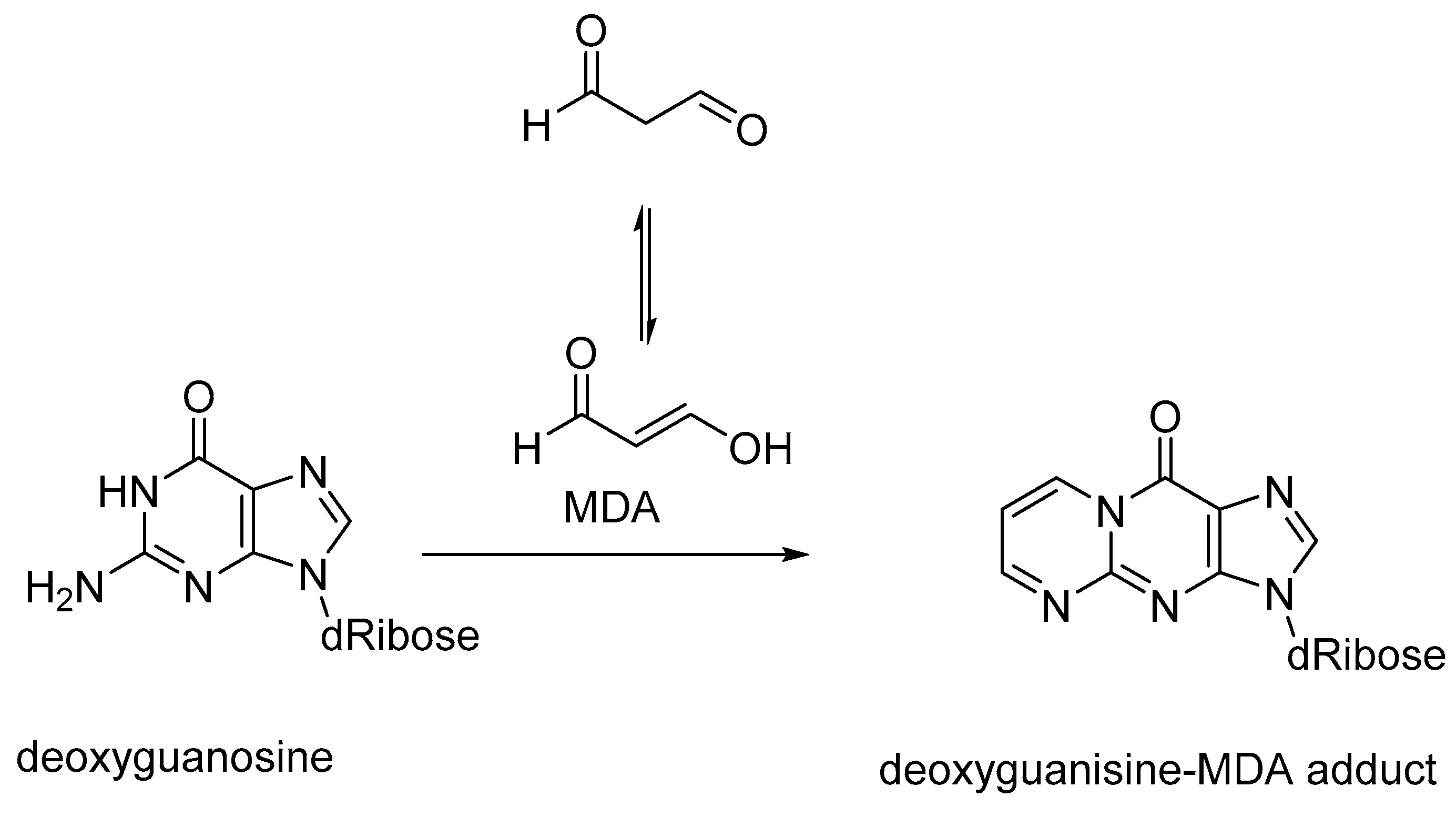Biomedicines 11 02925 g004