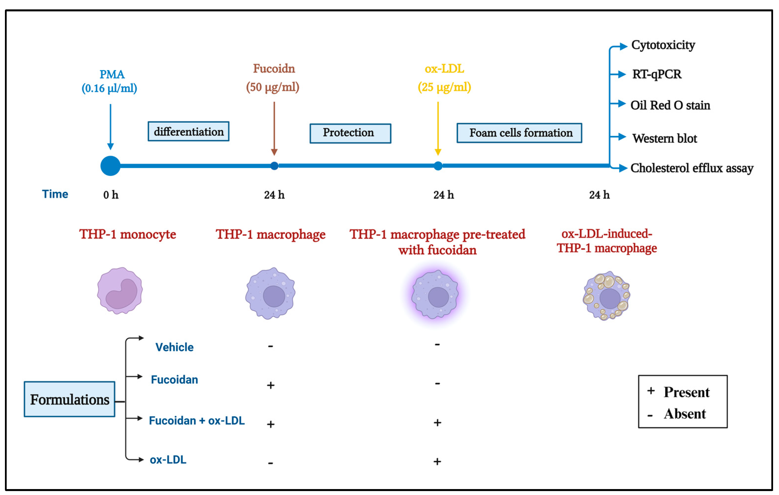 Biomedicines 11 02929 g001