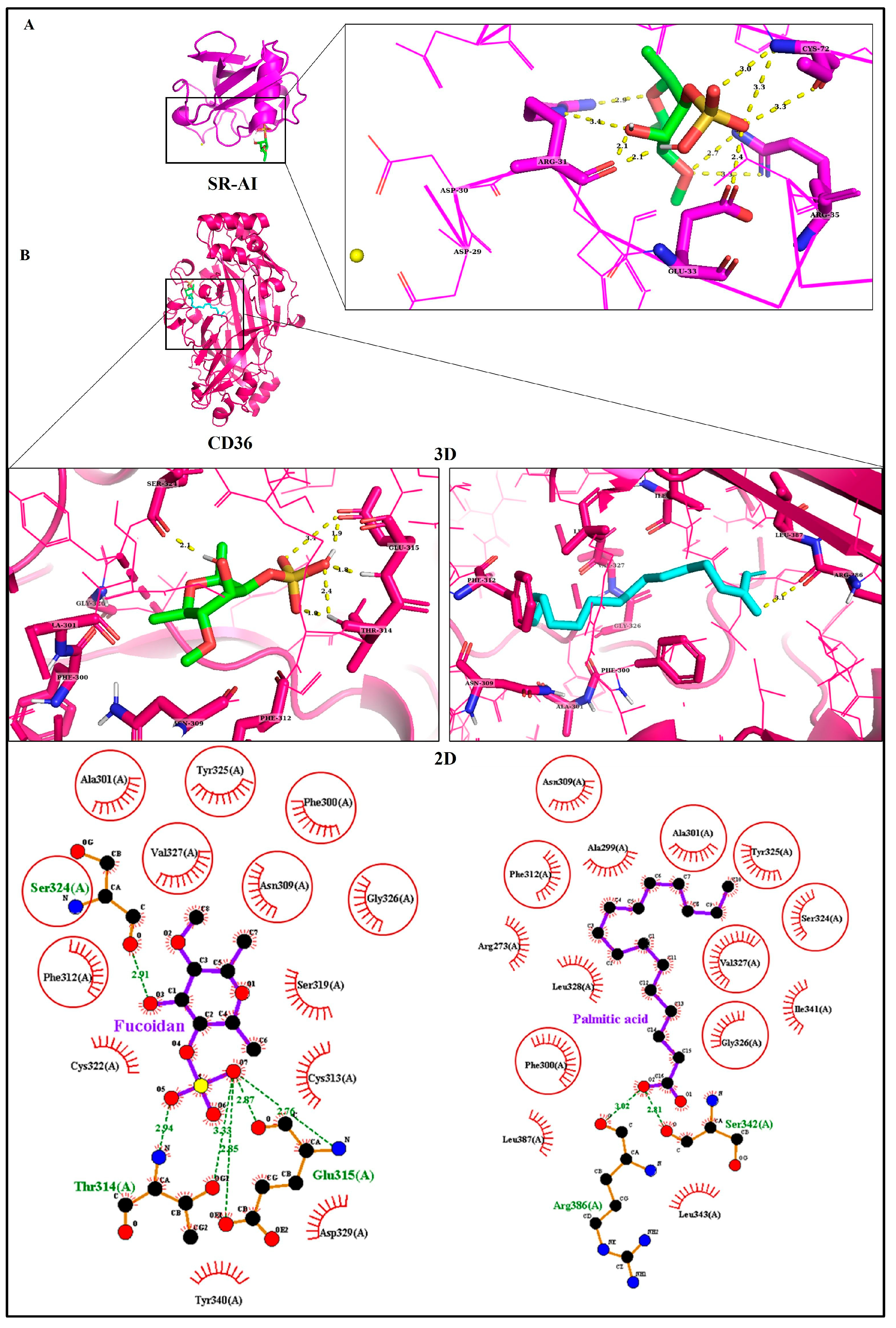 Biomedicines 11 02929 g003
