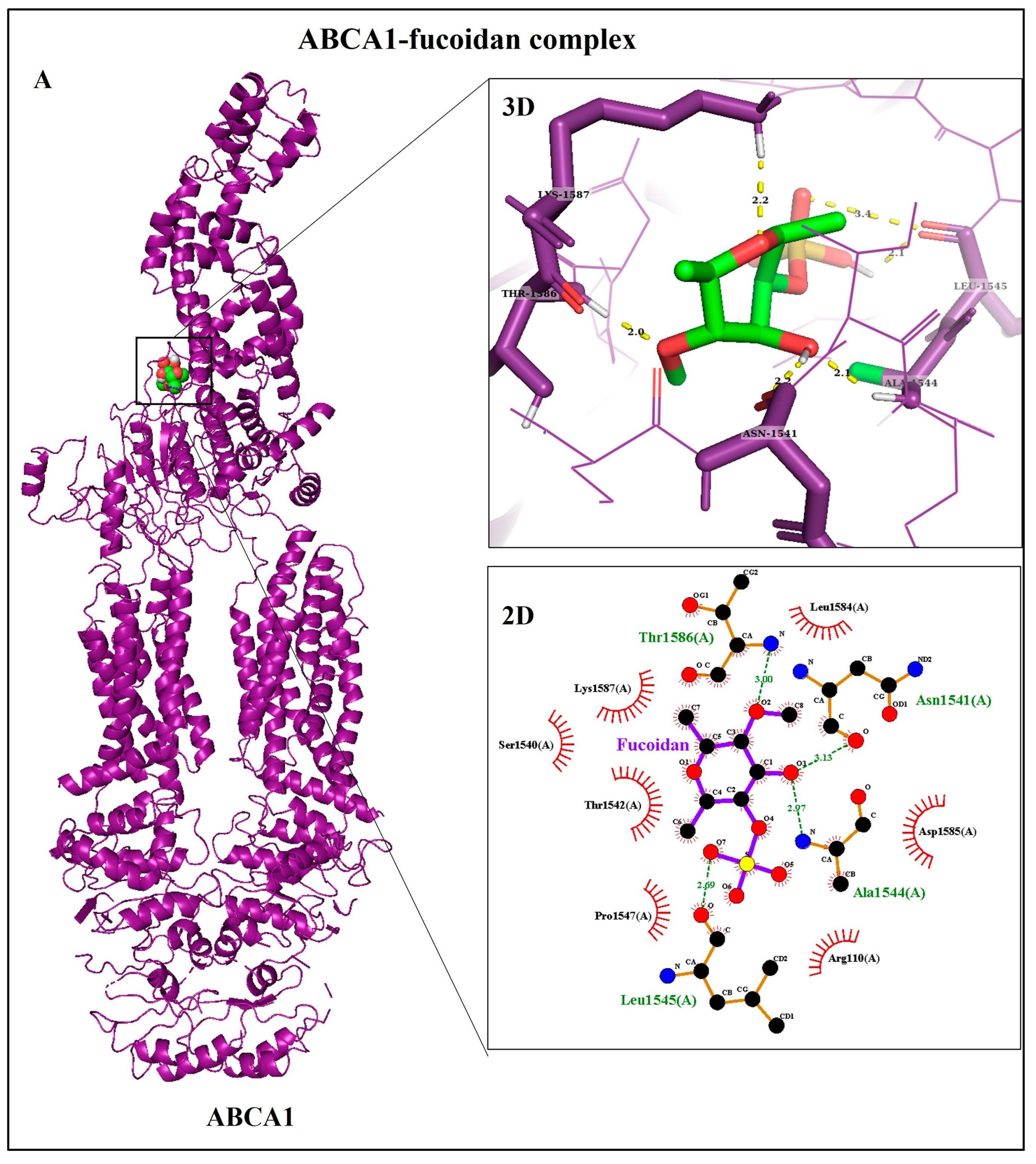 Biomedicines 11 02929 g004a