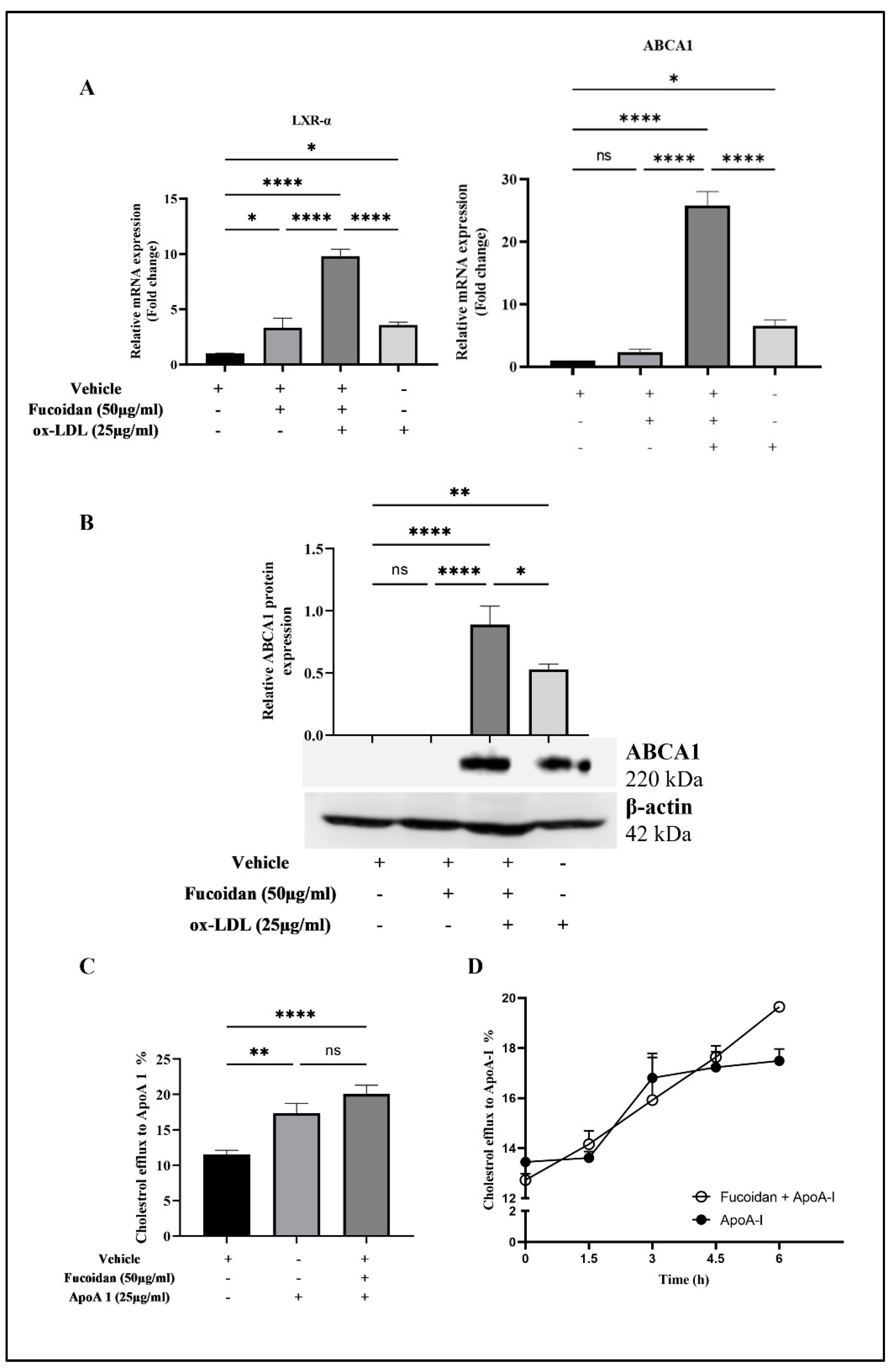 Biomedicines 11 02929 g006