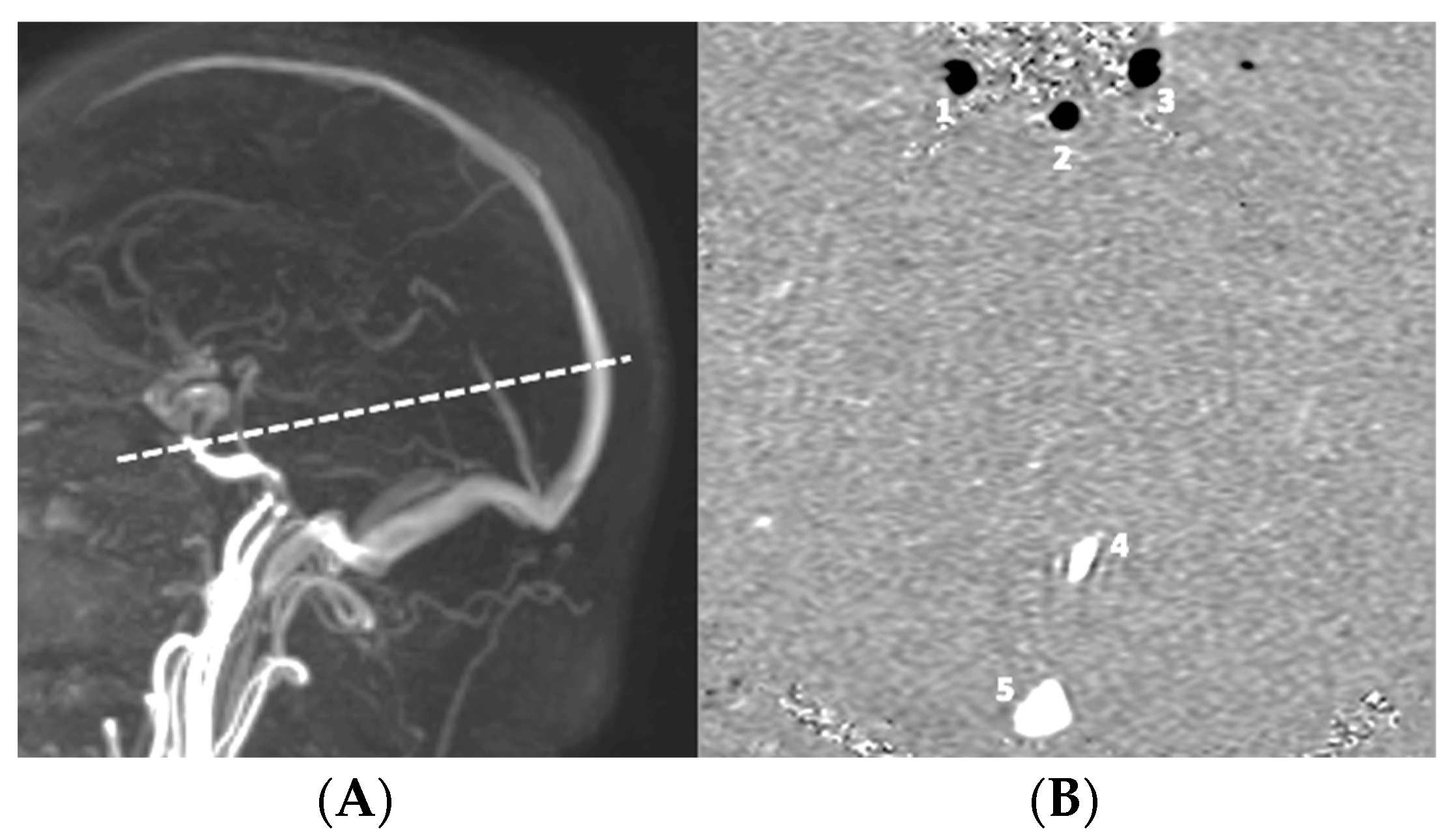 Biomedicines 11 02931 g001