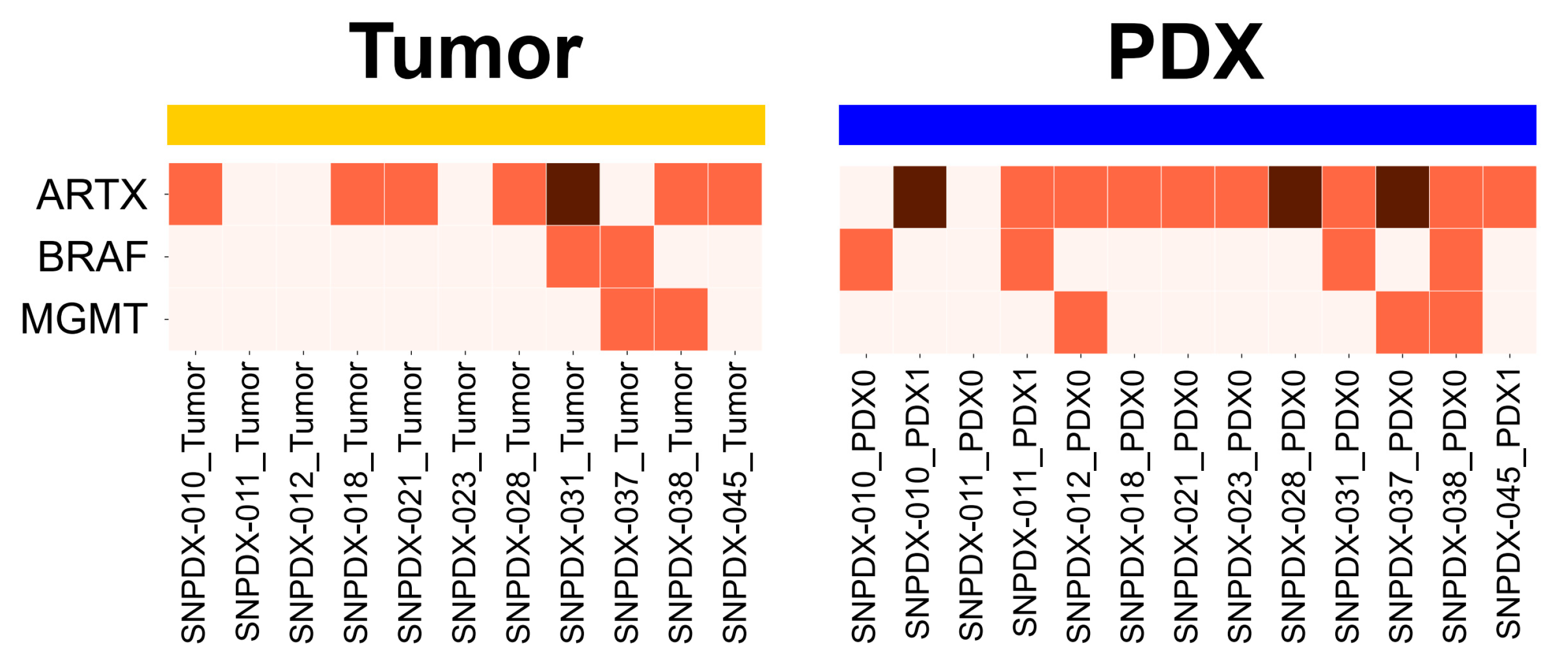 Biomedicines 11 02934 g005