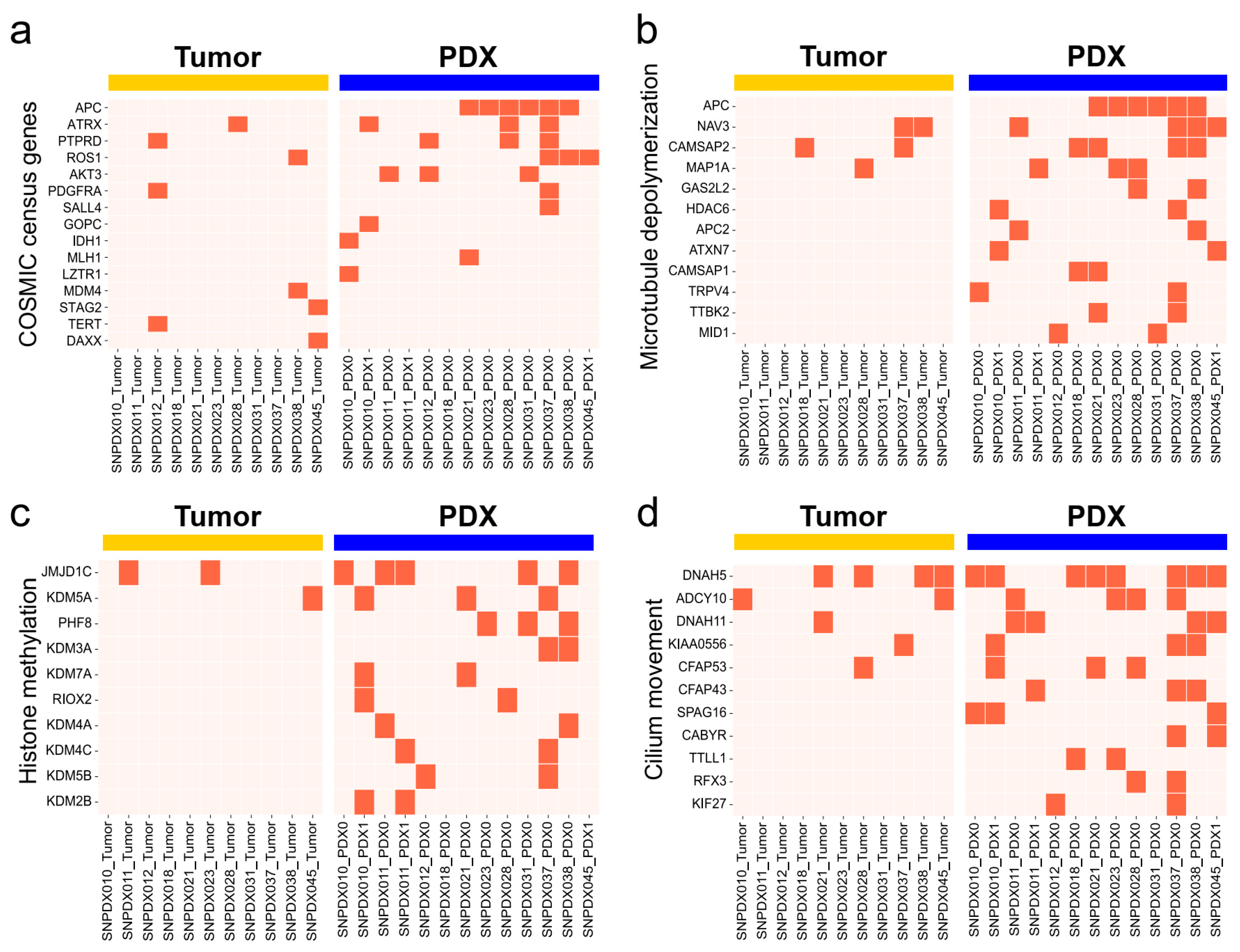 Biomedicines 11 02934 g007