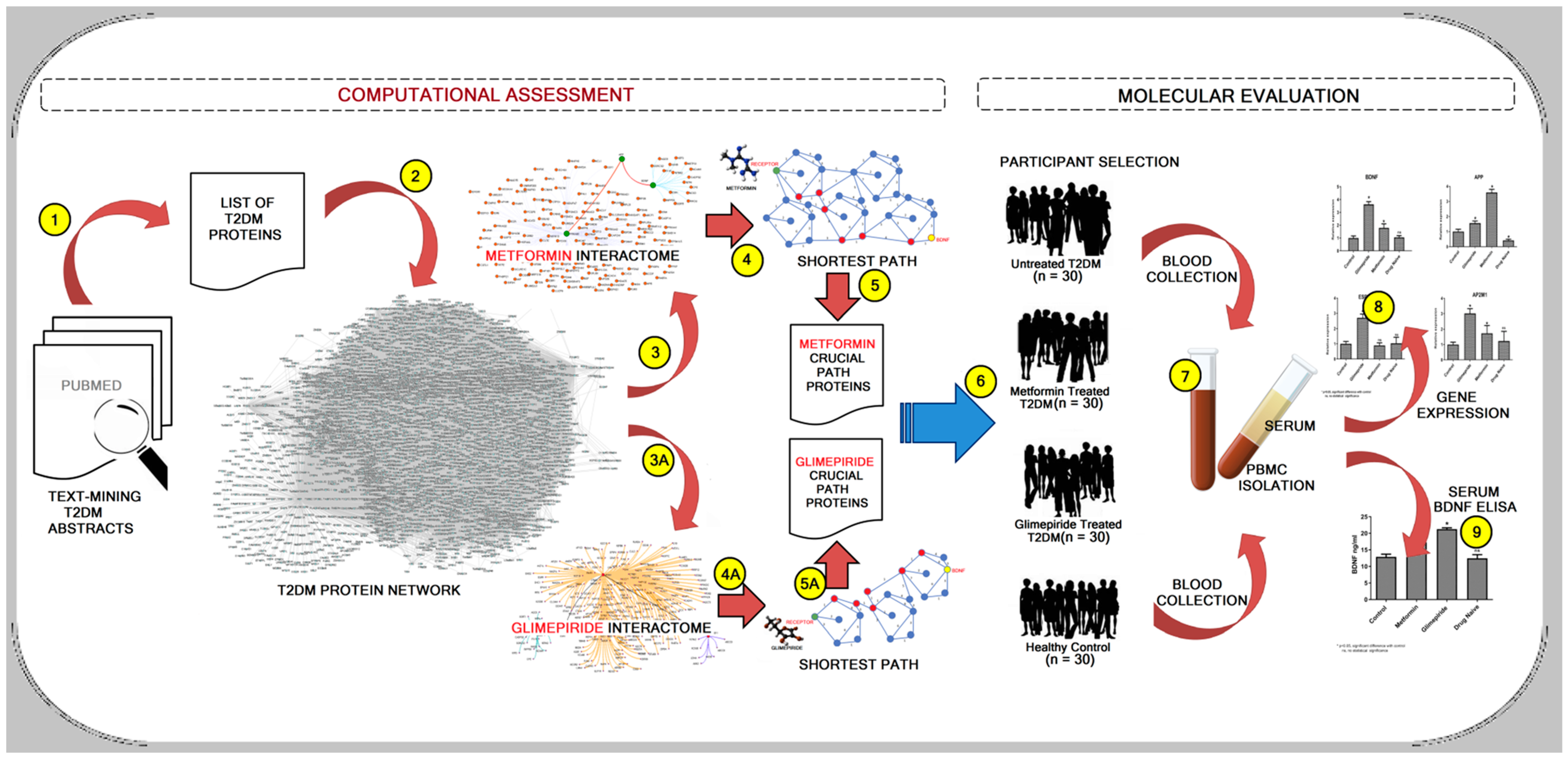 Biomedicines 11 02939 g001