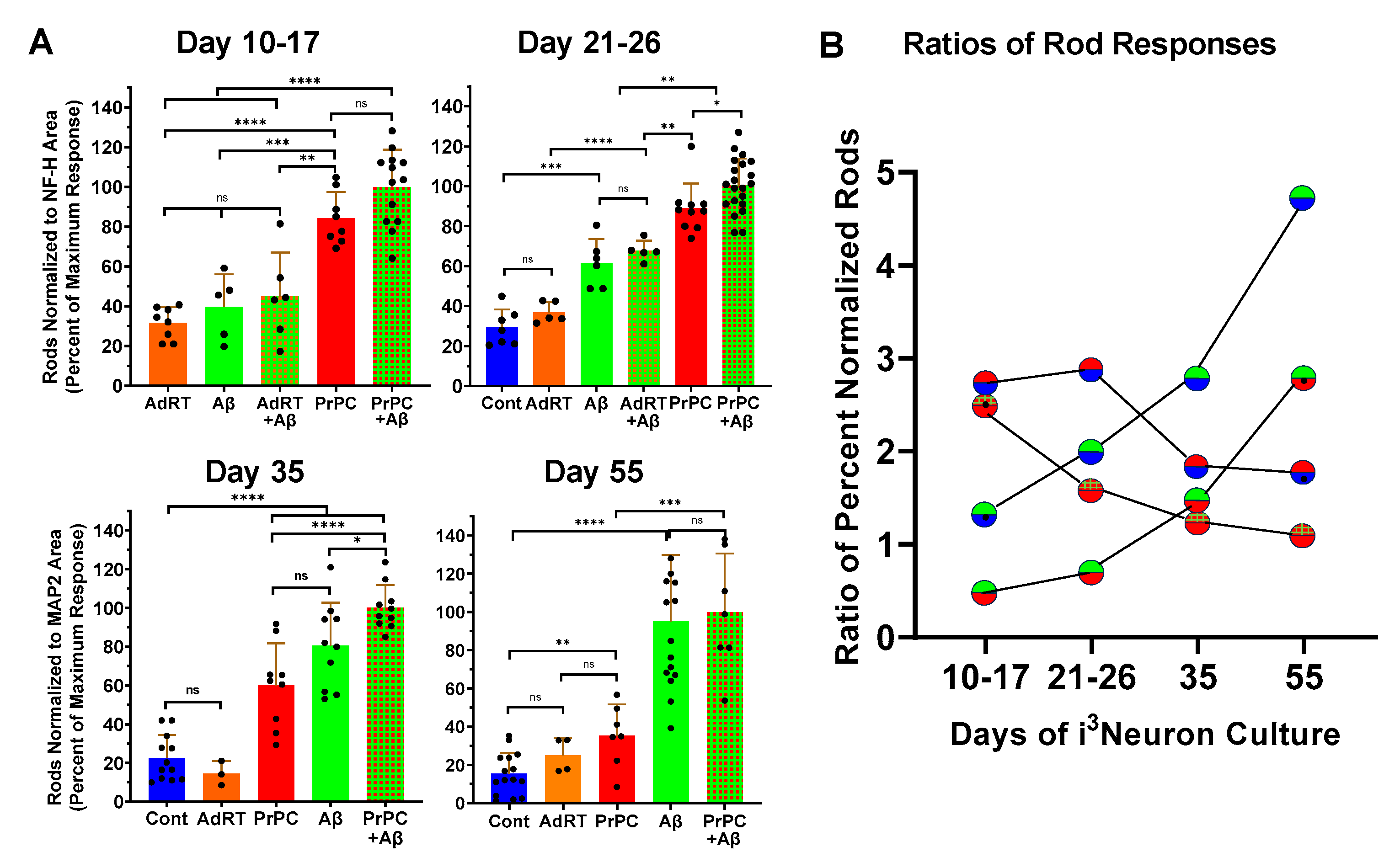 Biomedicines 11 02942 g006