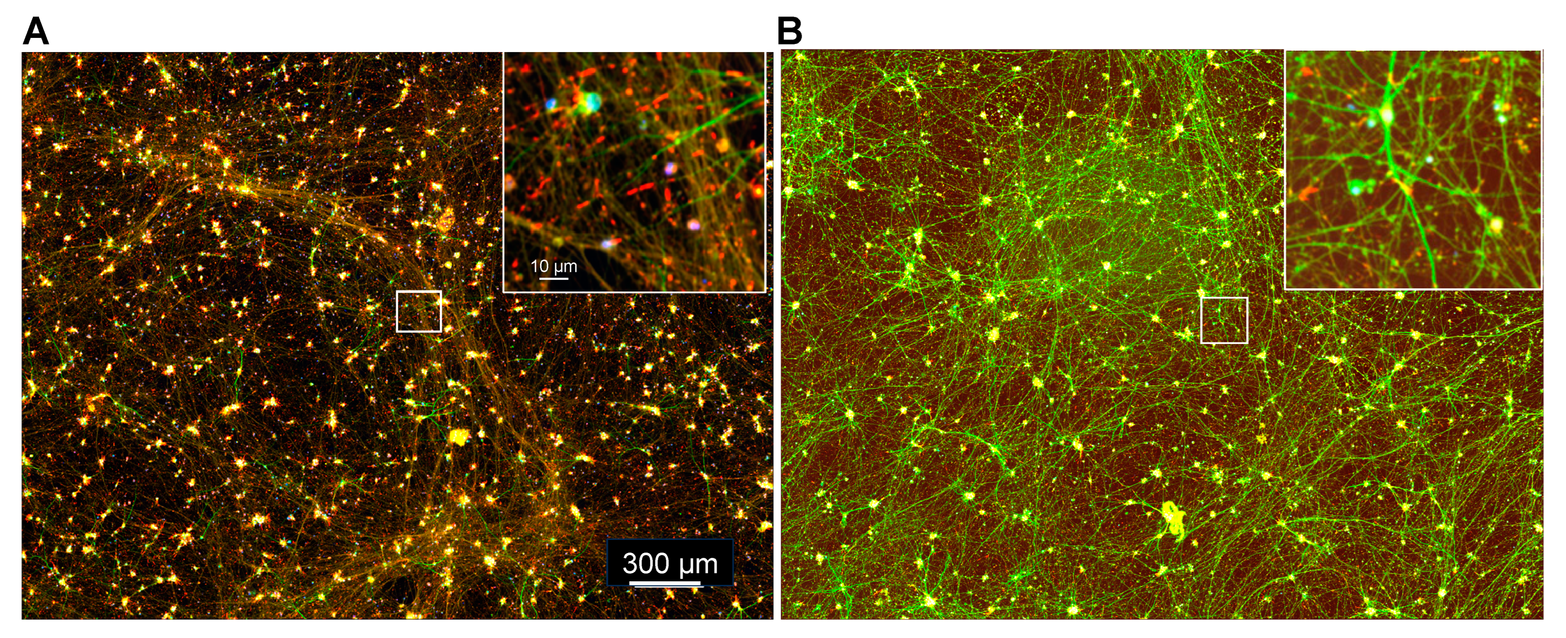 Biomedicines 11 02942 g007