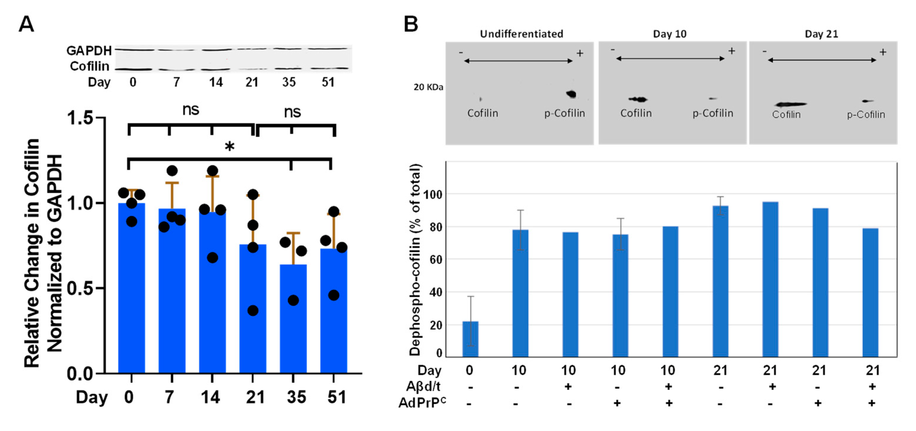 Biomedicines 11 02942 g008