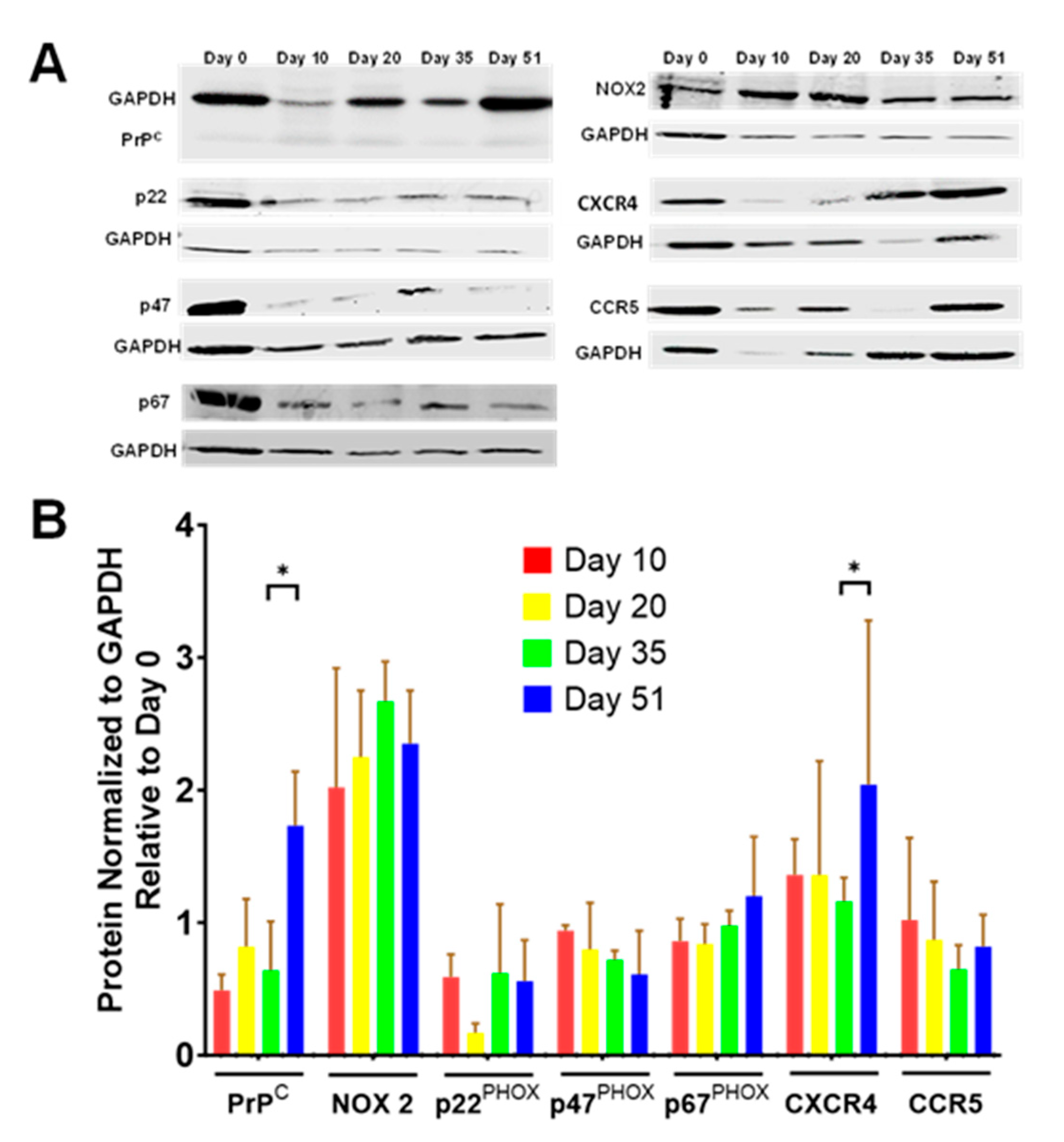 Biomedicines 11 02942 g009