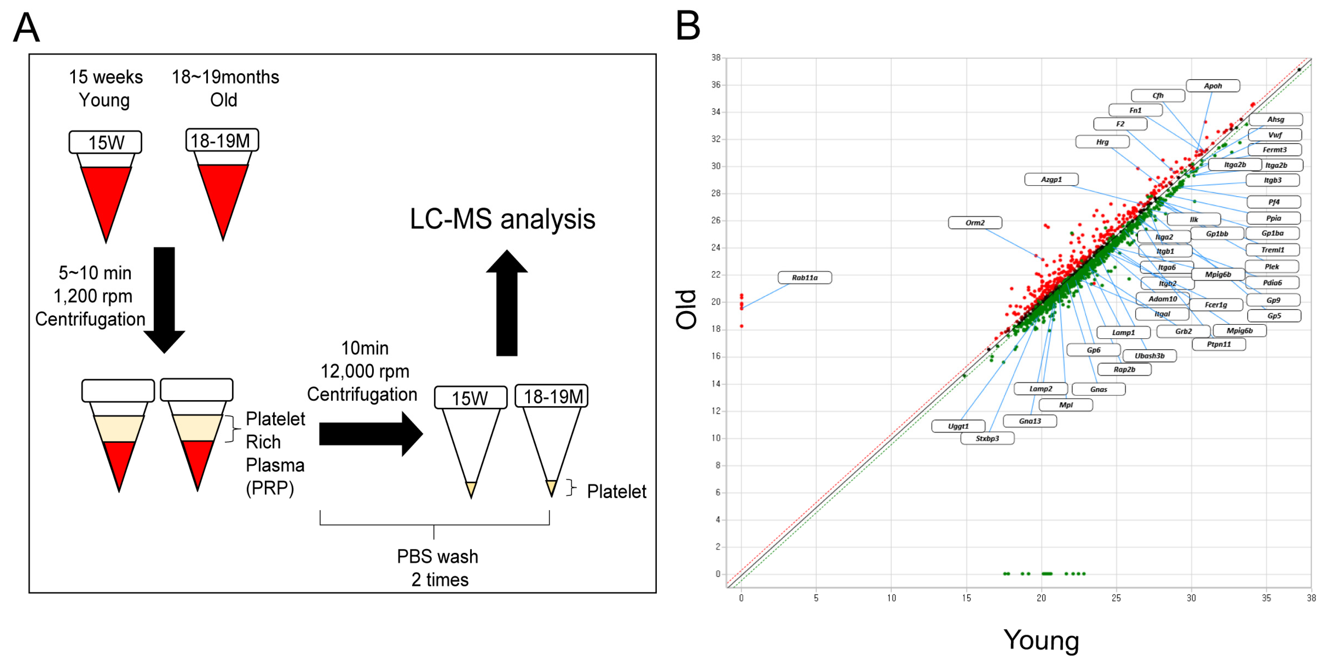 Biomedicines 11 02944 g001