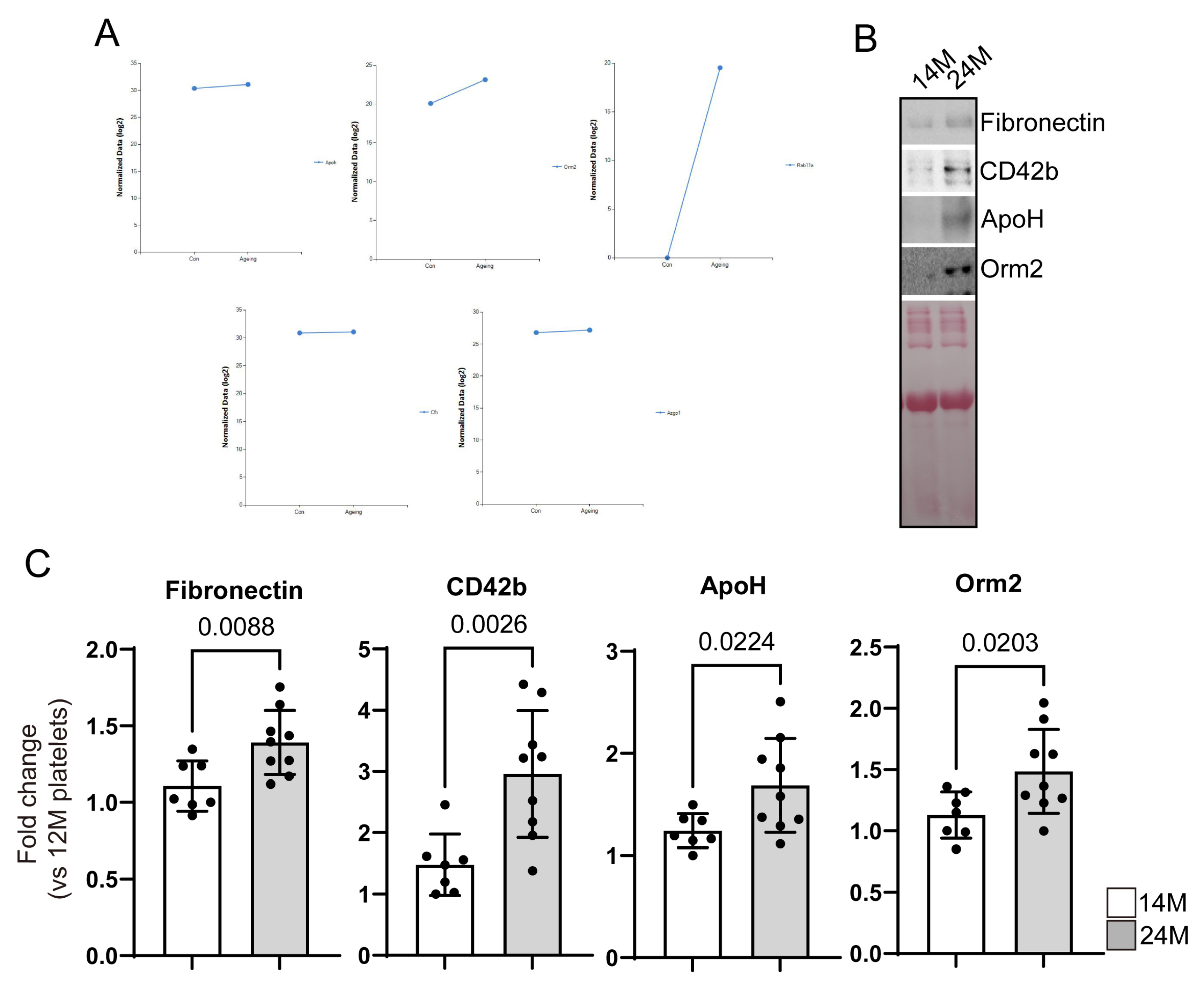 Biomedicines 11 02944 g005