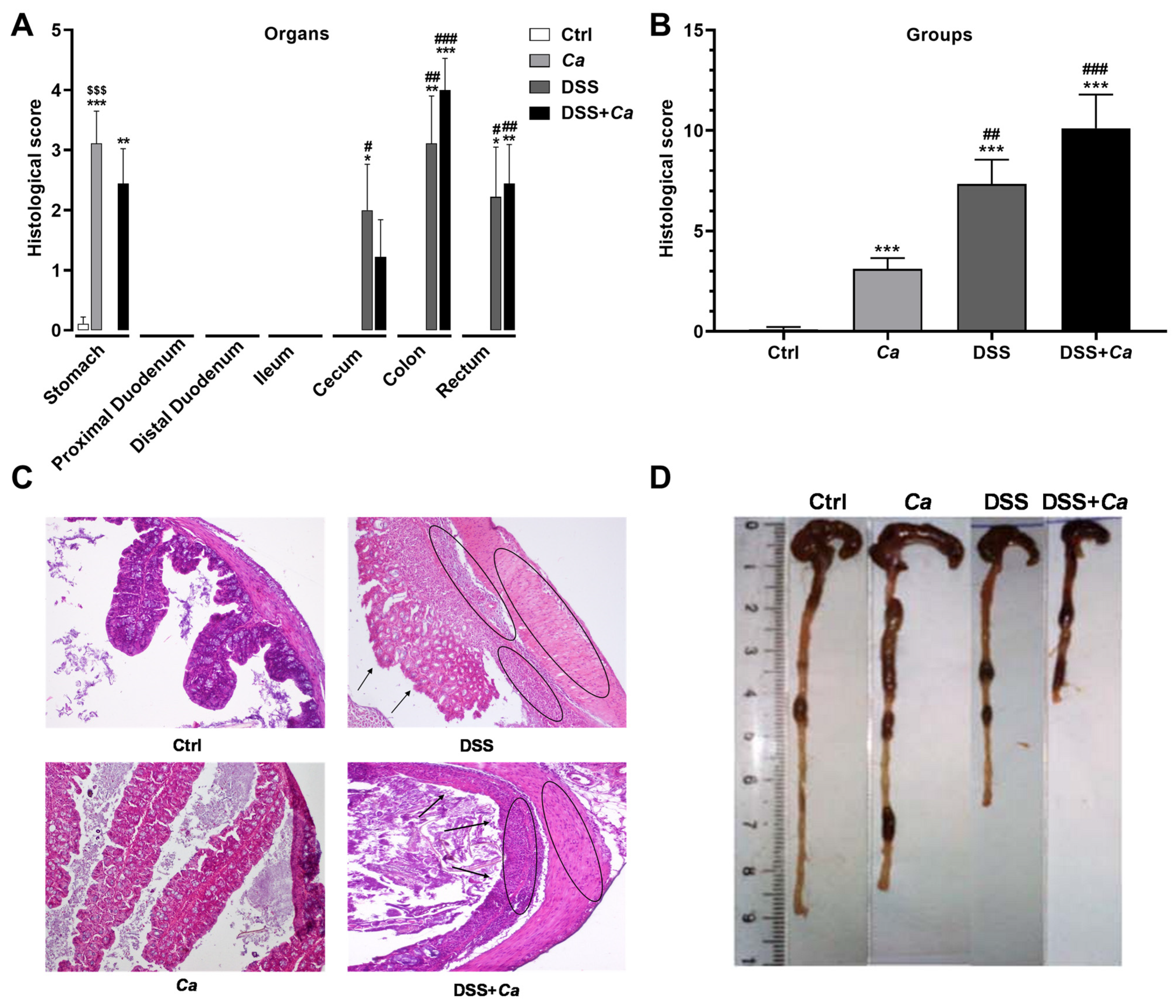 Biomedicines 11 02945 g004