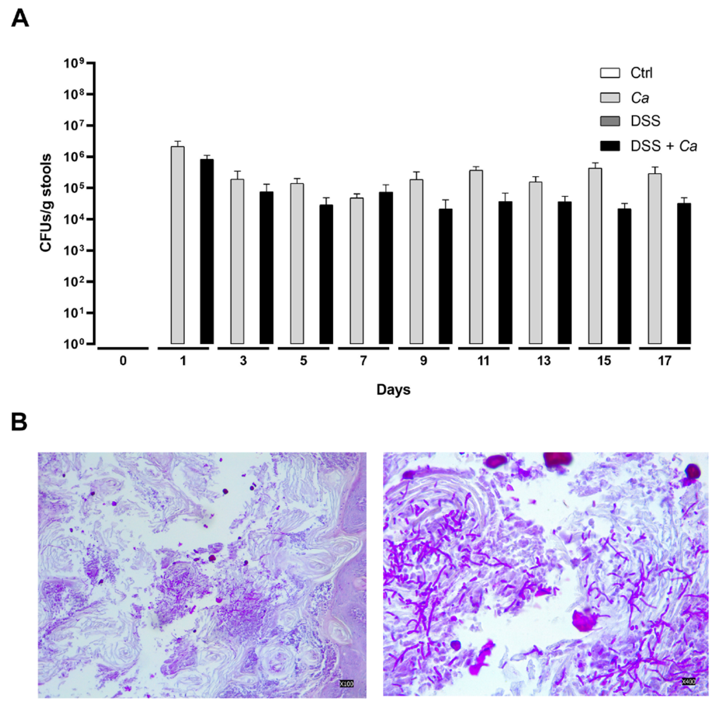 Biomedicines 11 02945 g005