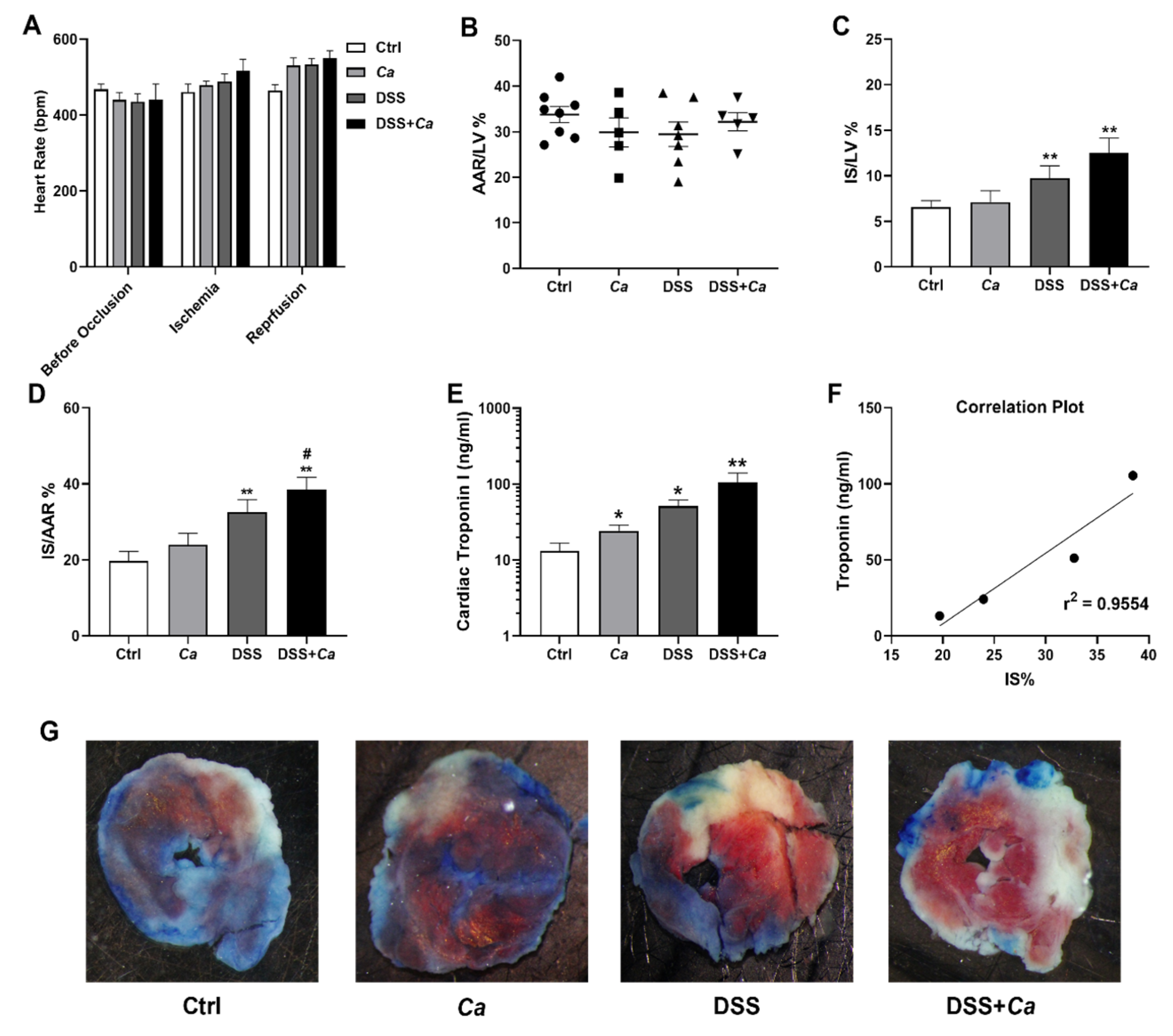 Biomedicines 11 02945 g008