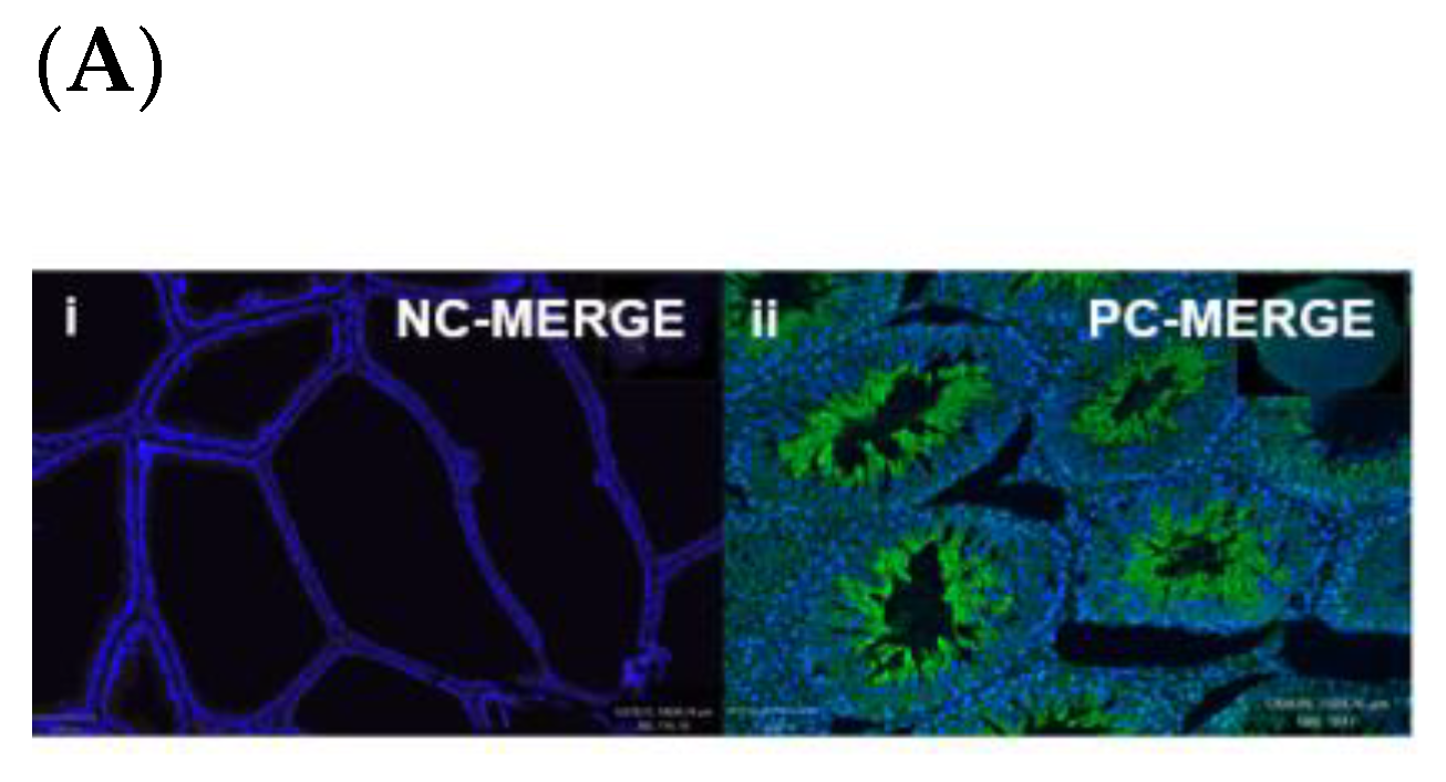 Biomedicines 11 02956 g005a