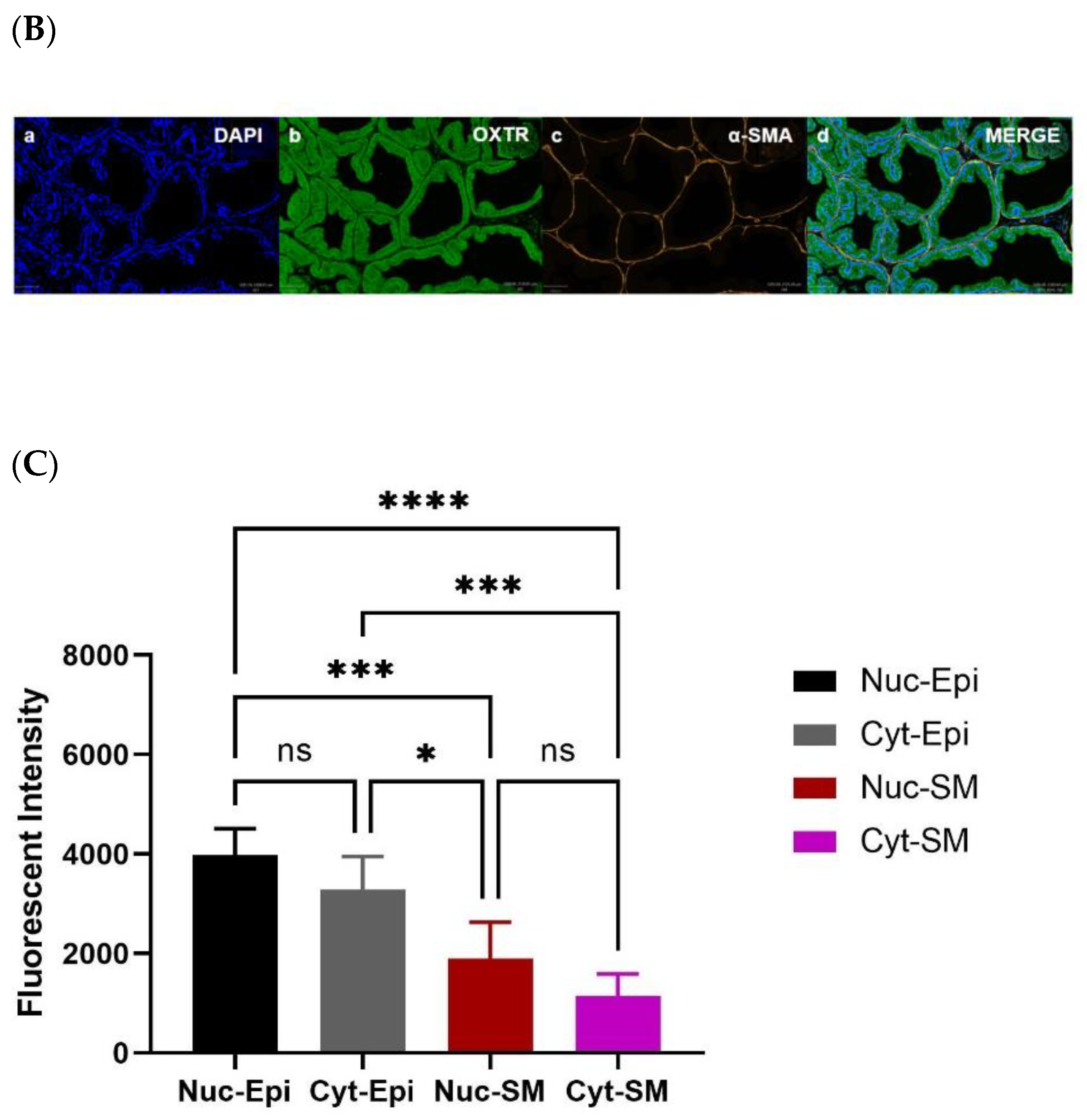 Biomedicines 11 02956 g005b