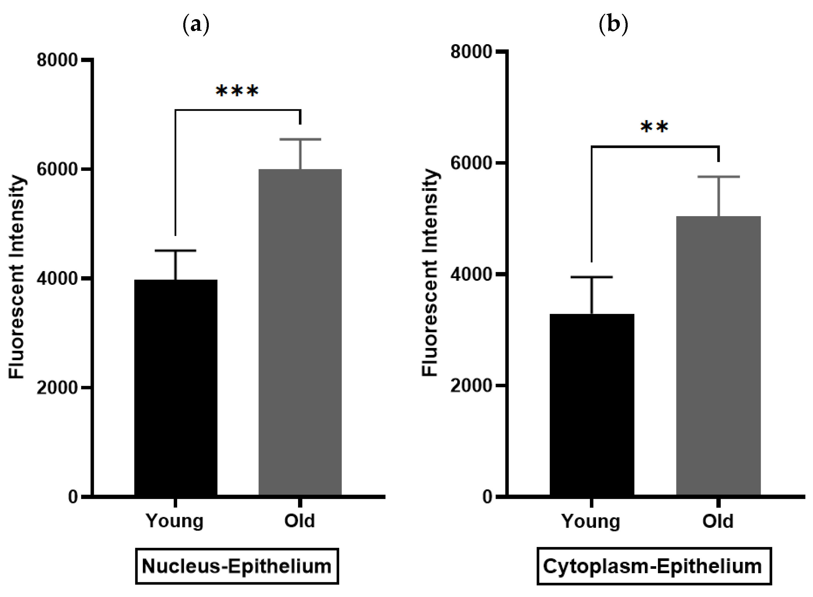 Biomedicines 11 02956 g007a
