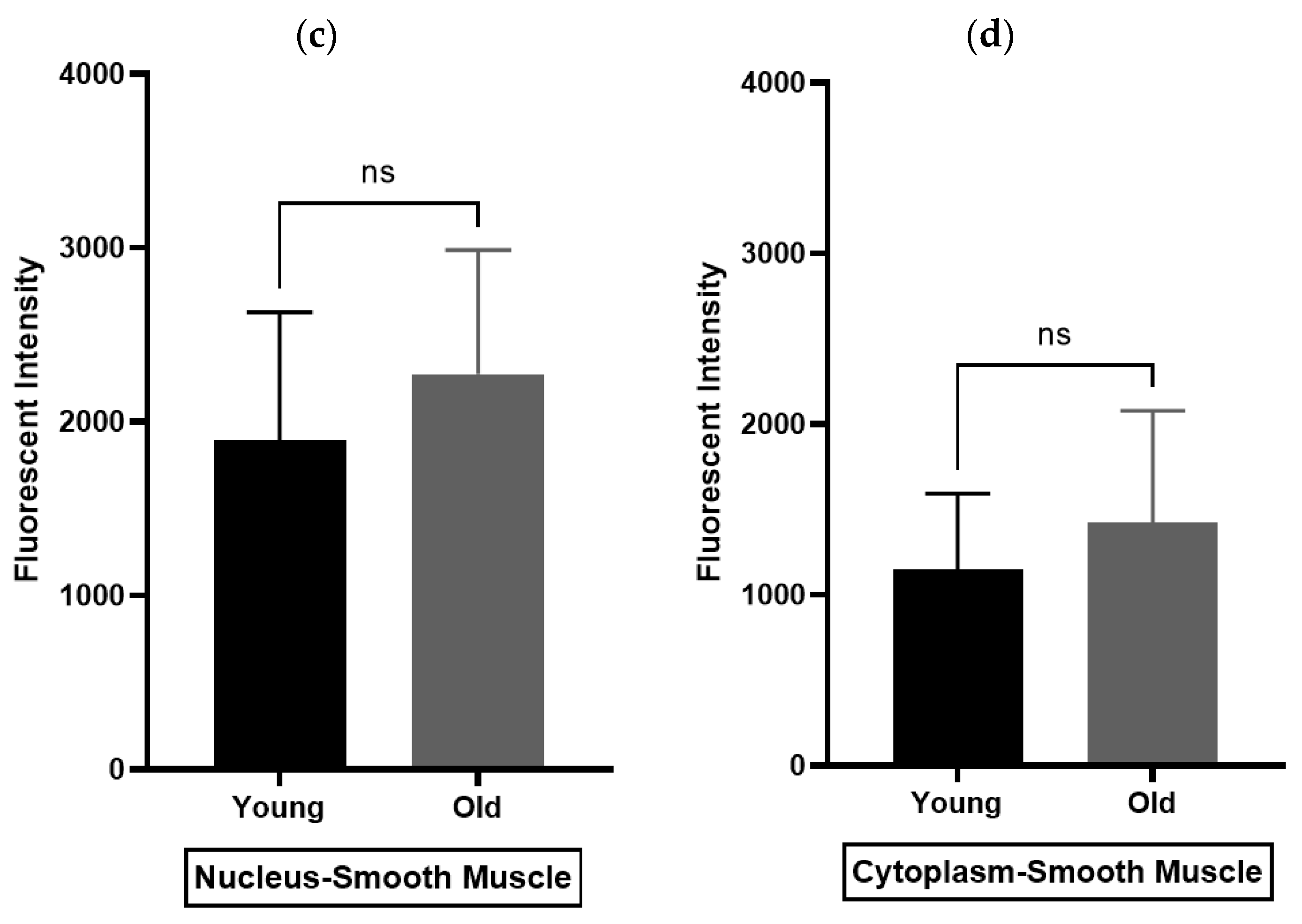 Biomedicines 11 02956 g007b