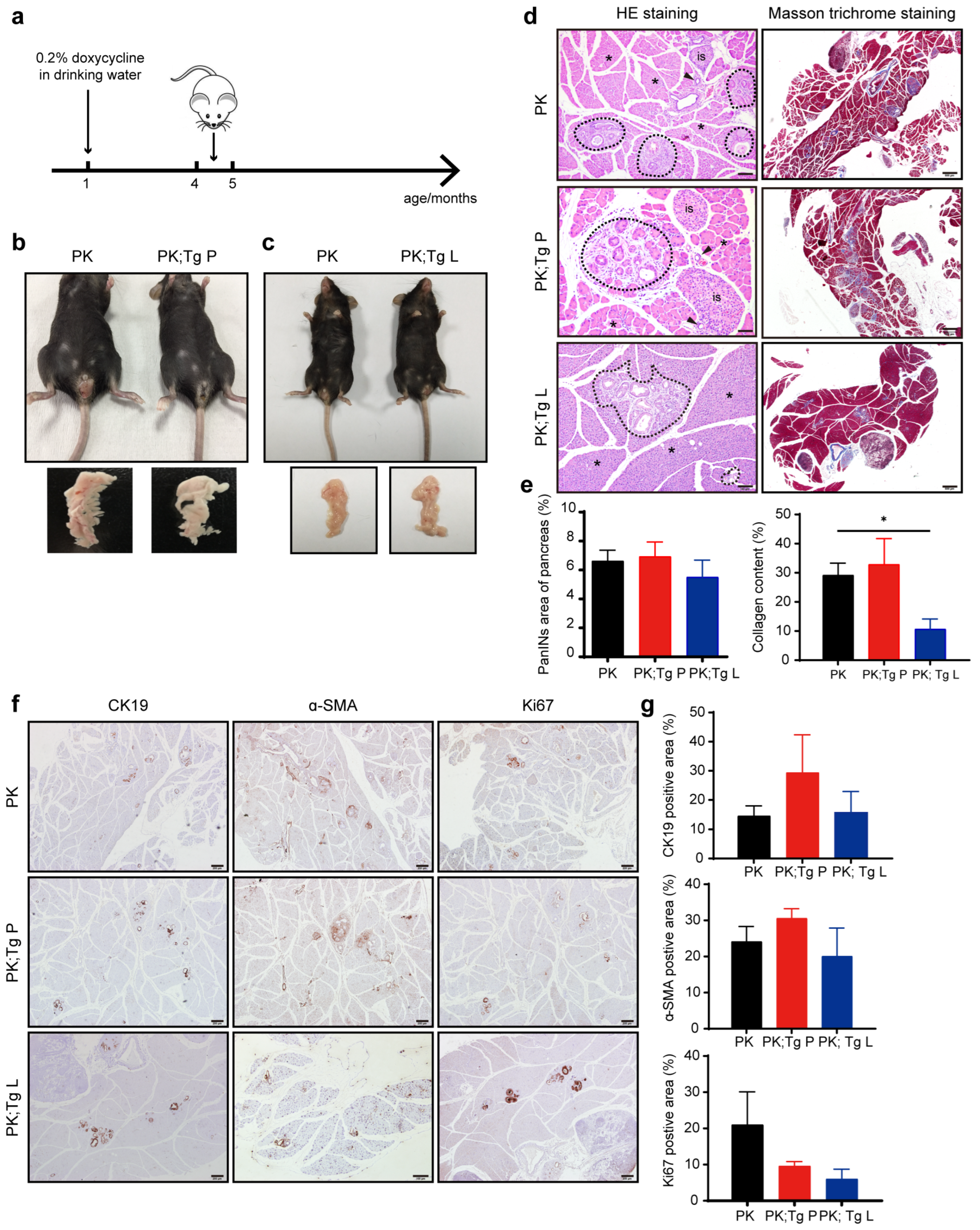 Biomedicines 11 02962 g003