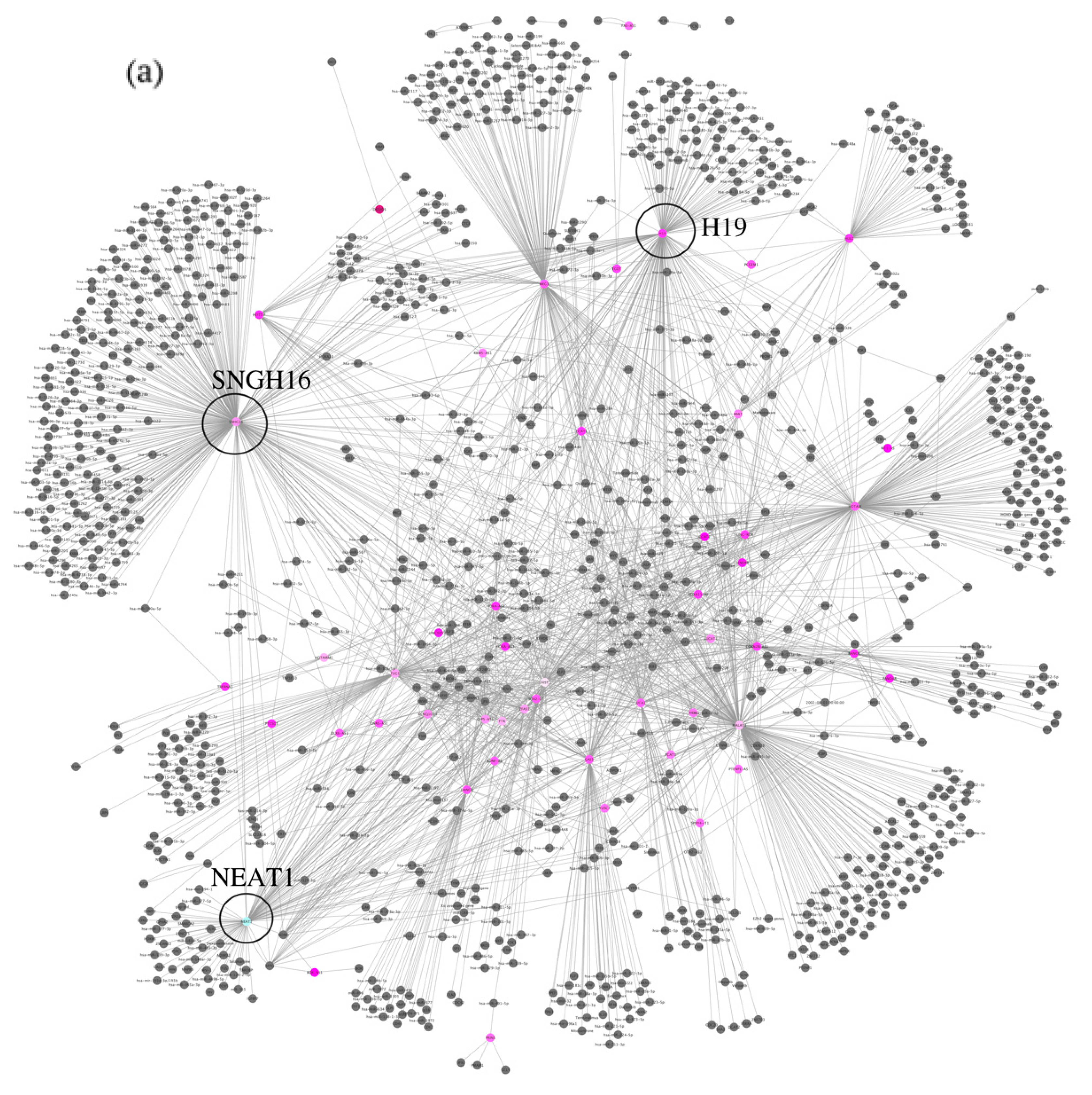 Biomedicines 11 02963 g002a