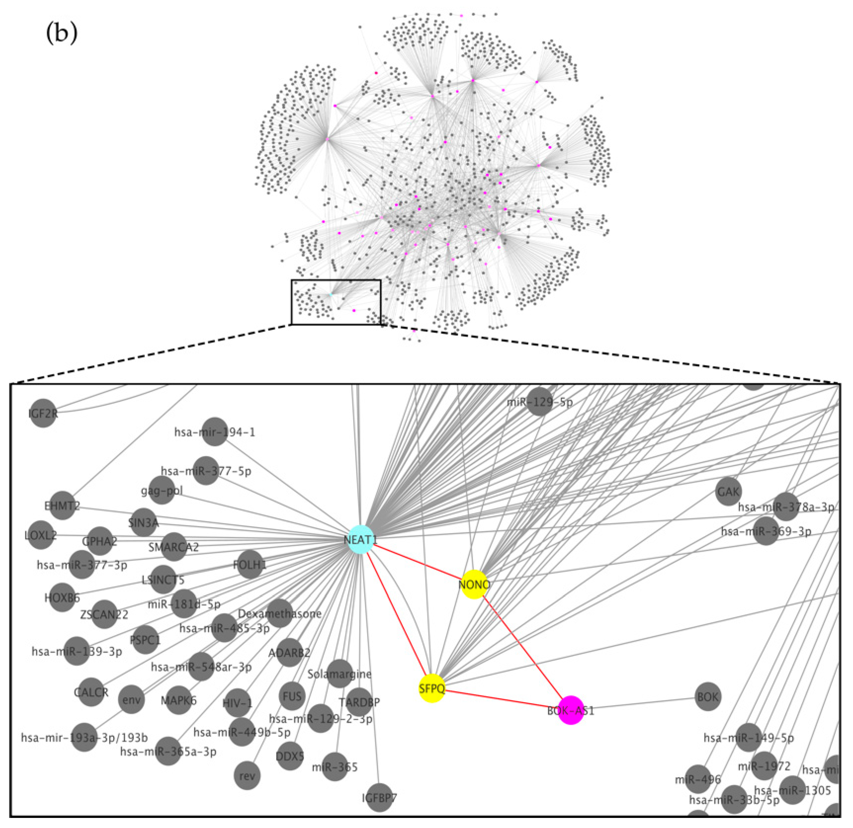 Biomedicines 11 02963 g002b