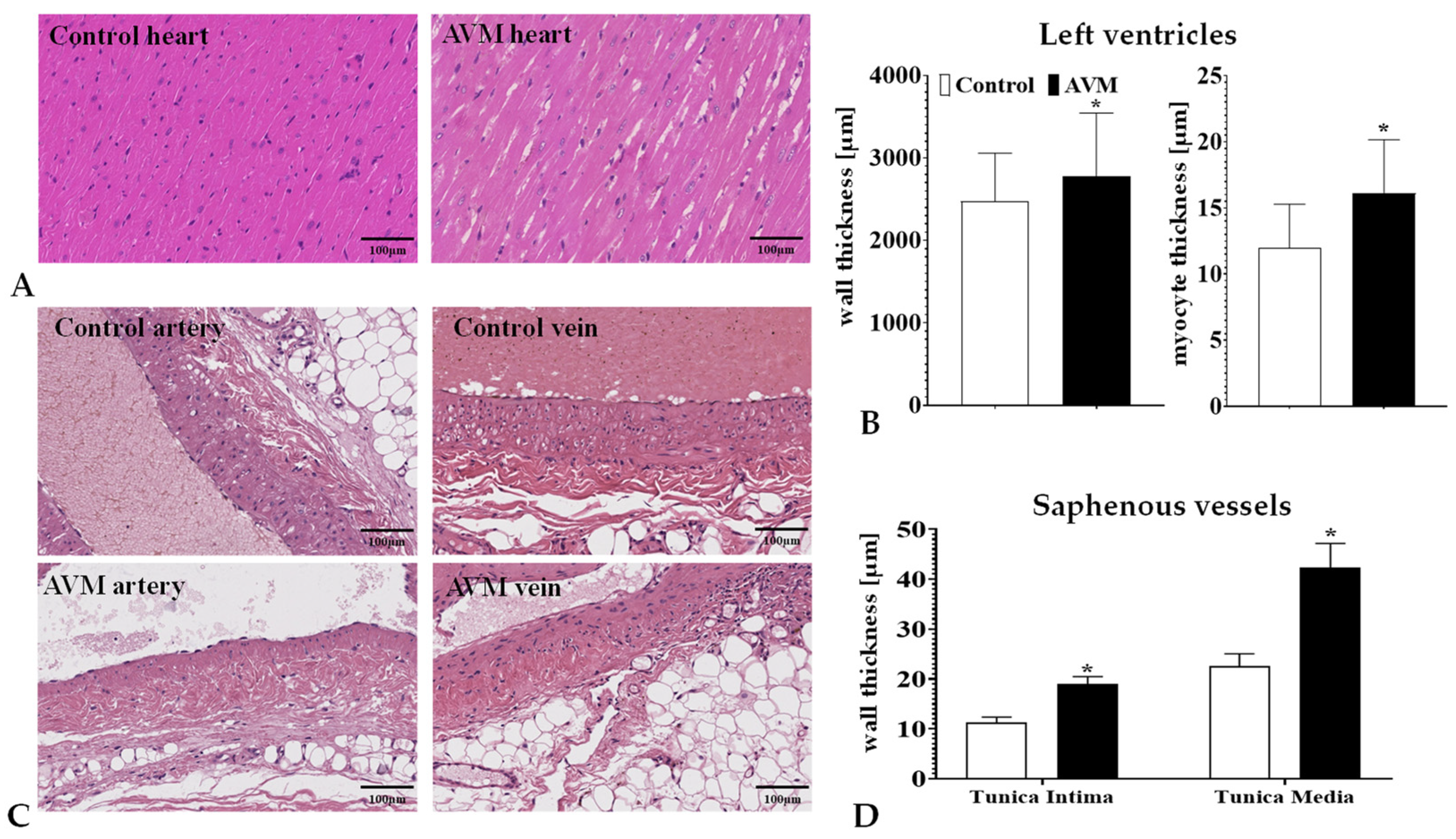 Biomedicines 11 02970 g007