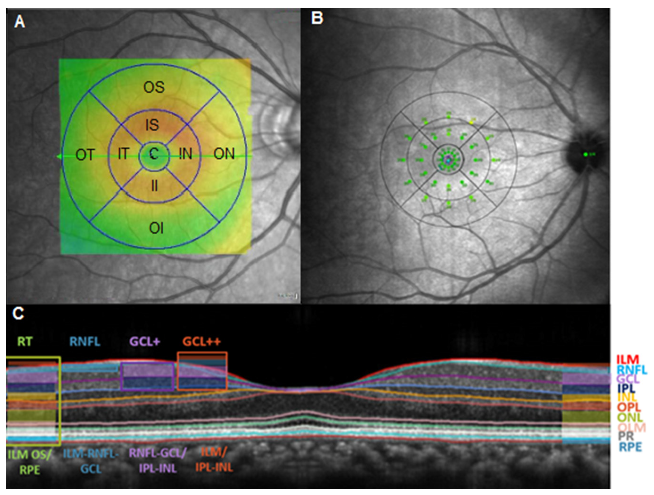 Biomedicines 11 02972 g001