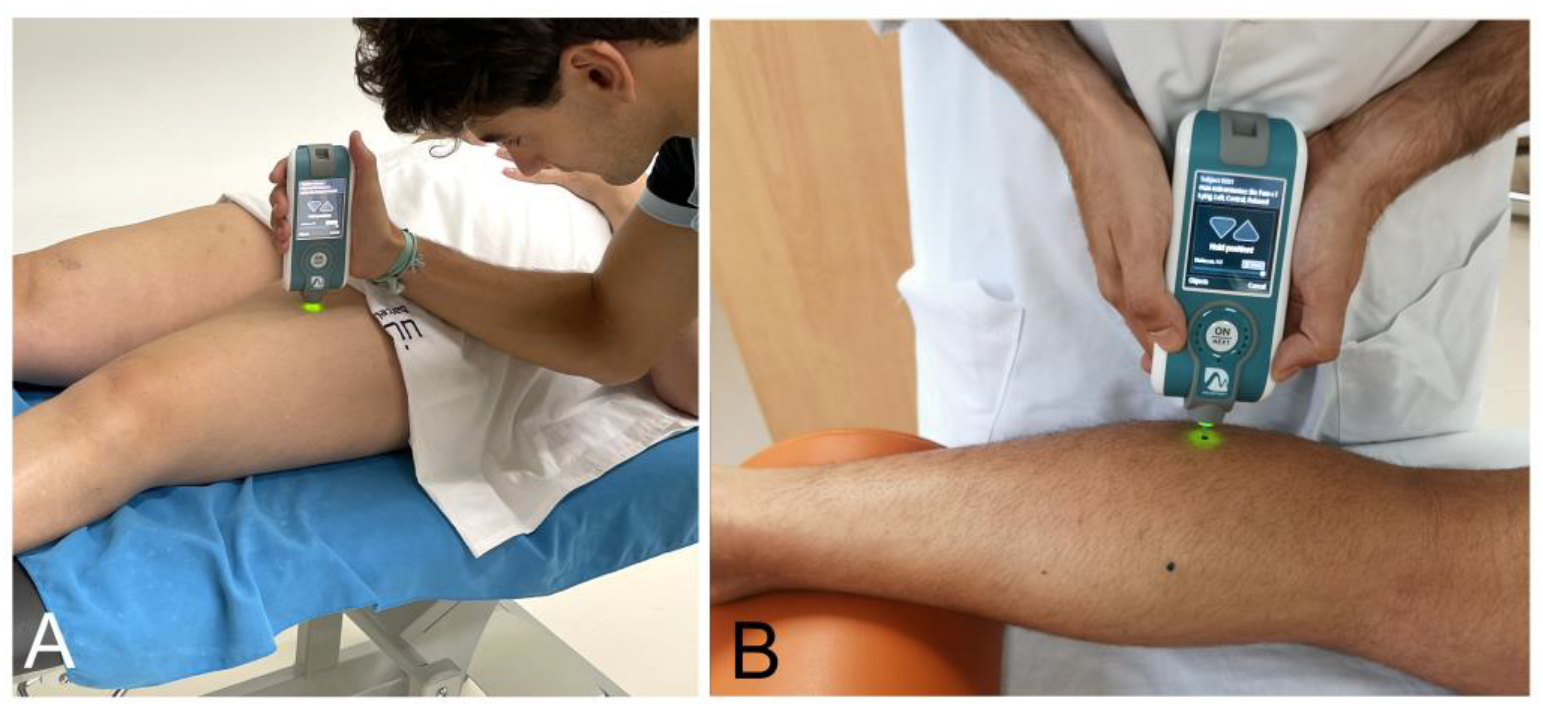 Biomedicines 11 02973 g001