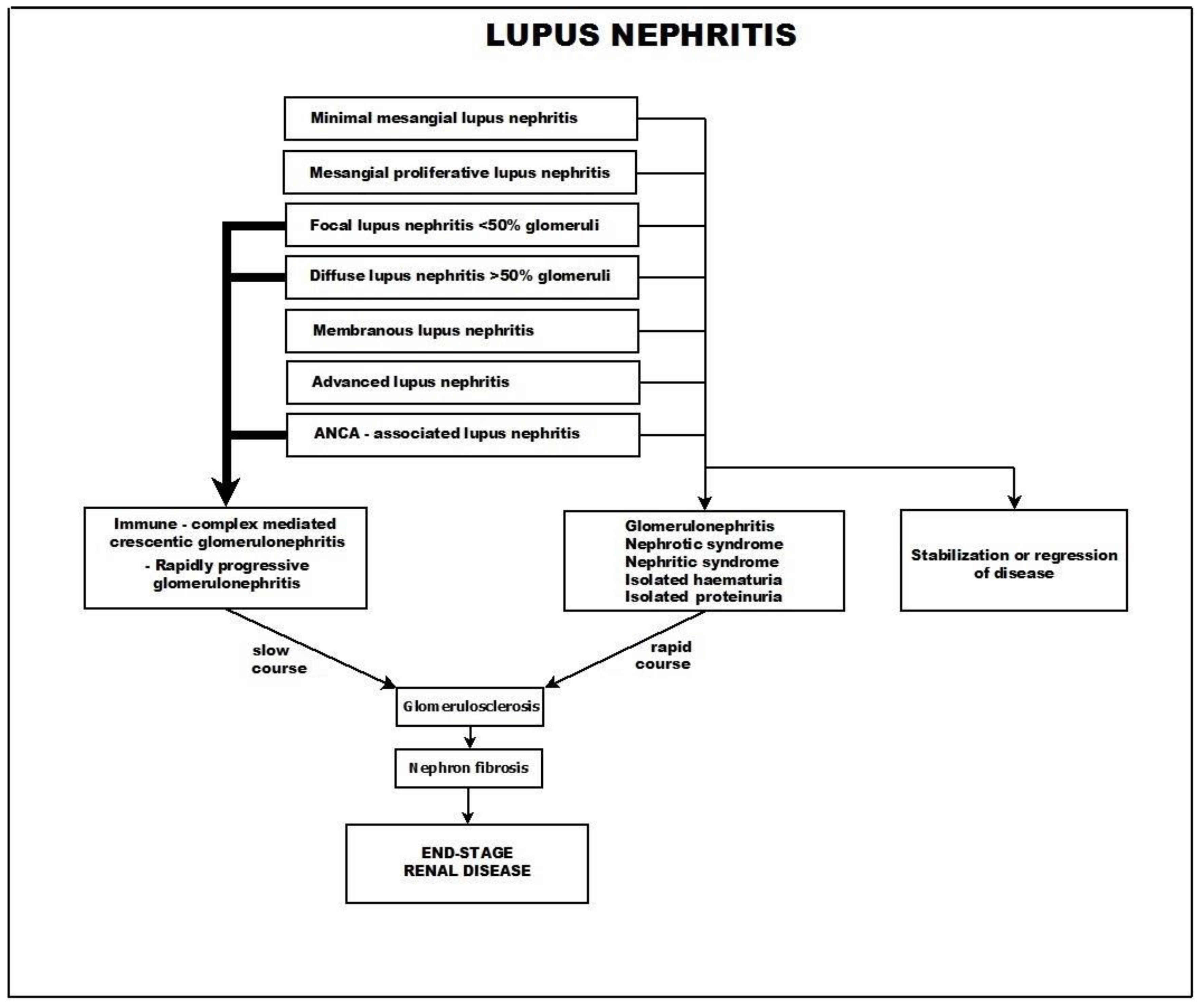 Biomedicines 11 02978 g003